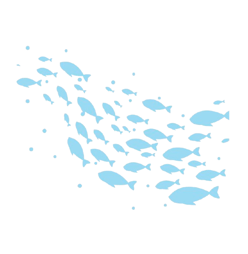 School of blue fish swimming in the ocean