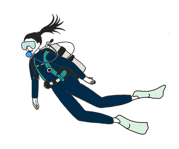 Illustration of a scuba diver underwater wearing a wetsuit, mask, snorkel, and fins.