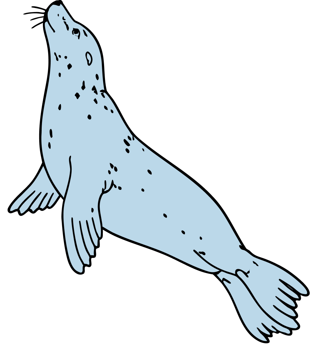 A light blue illustration of a seal with spots, depicted in a minimalist style.