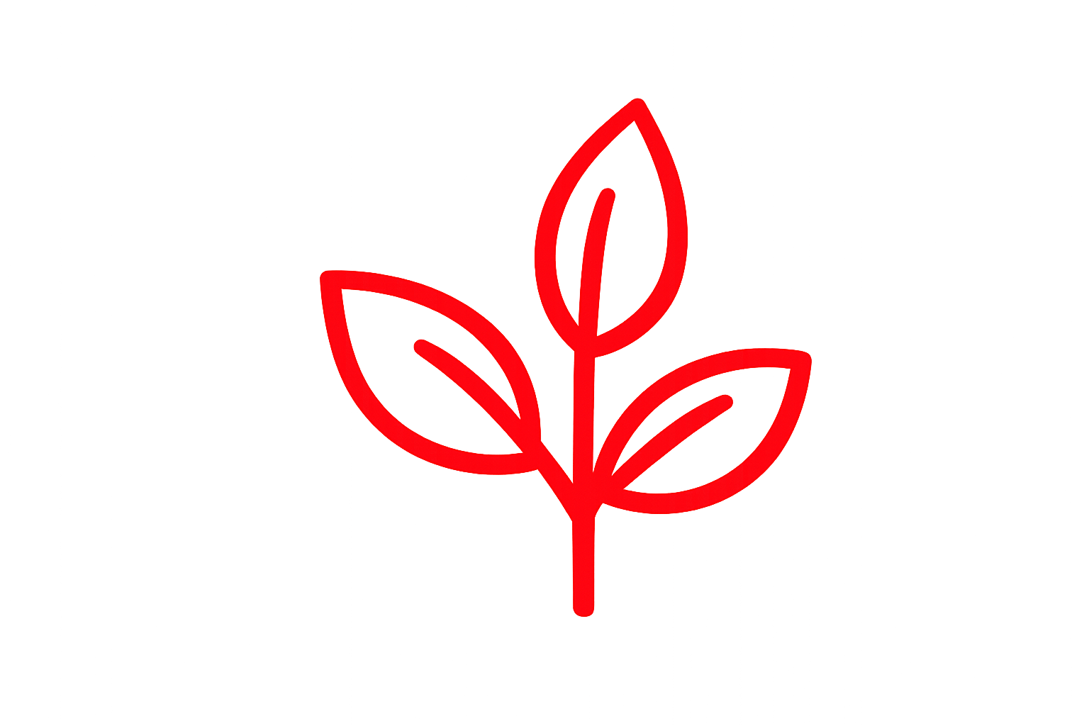 Neon red lit outline of a leaf on a transparent background.