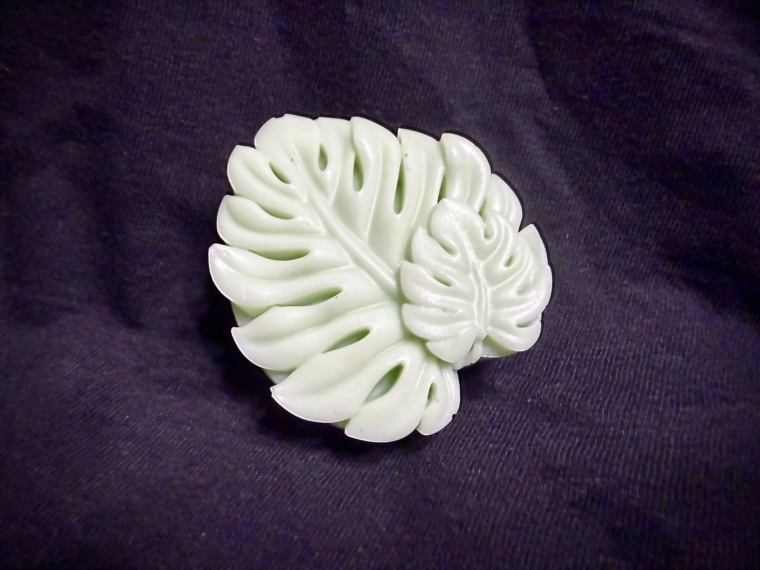 Monstera Leaf