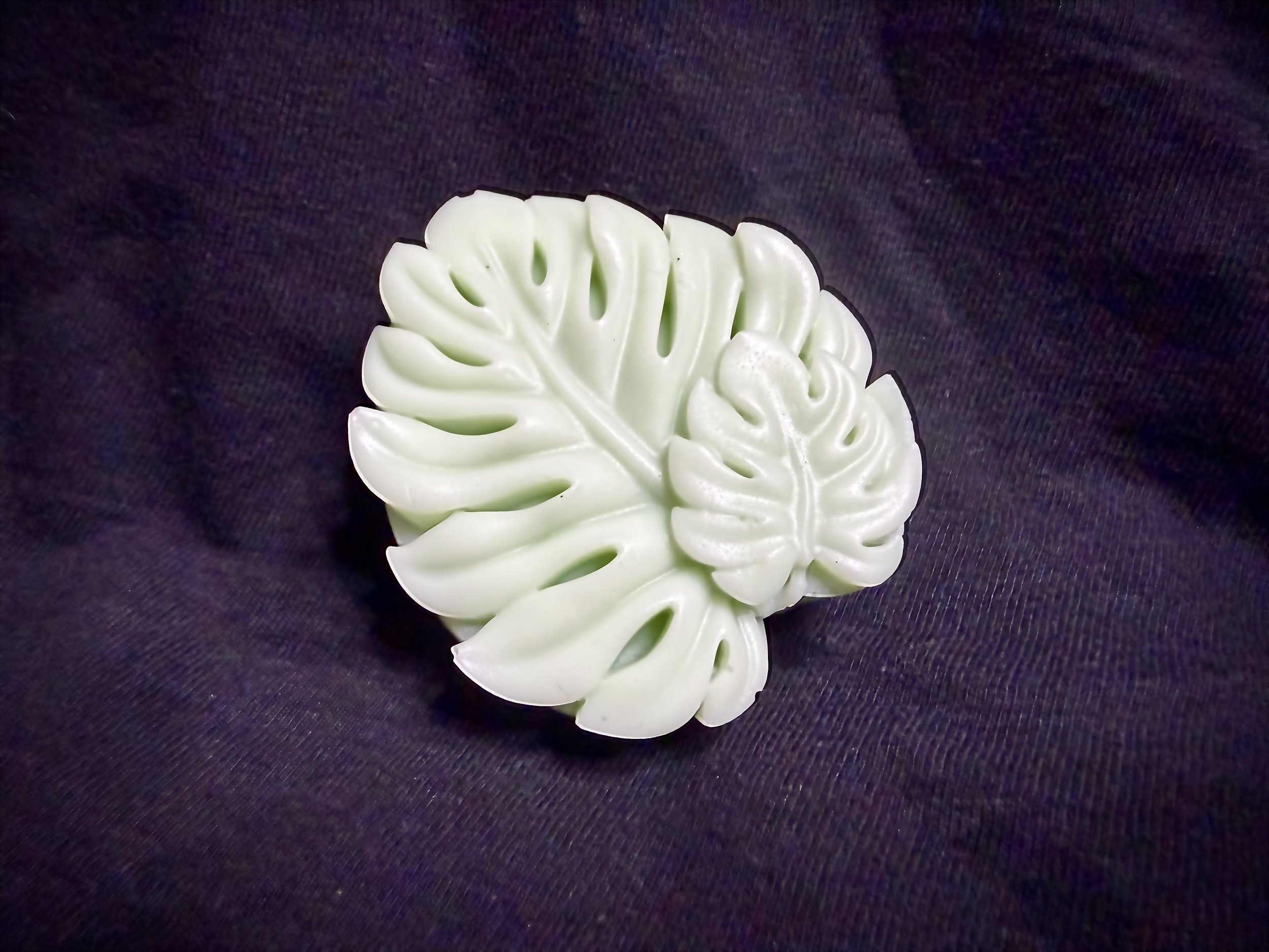 Monstera Leaves