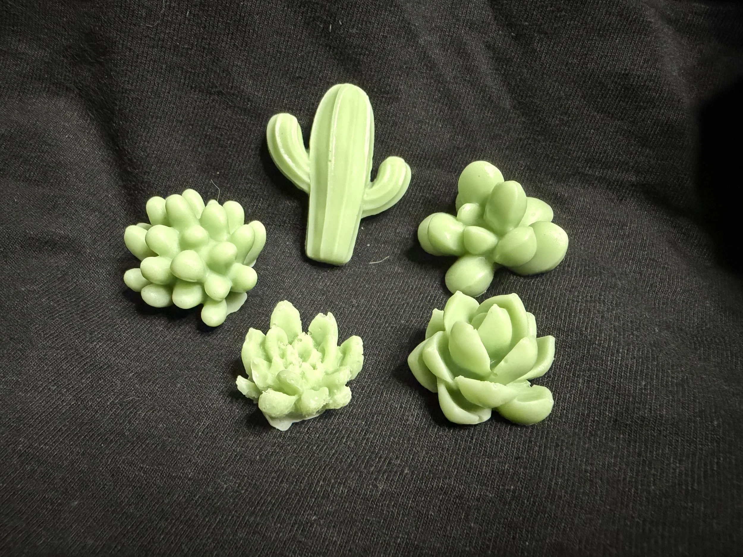 Succulents