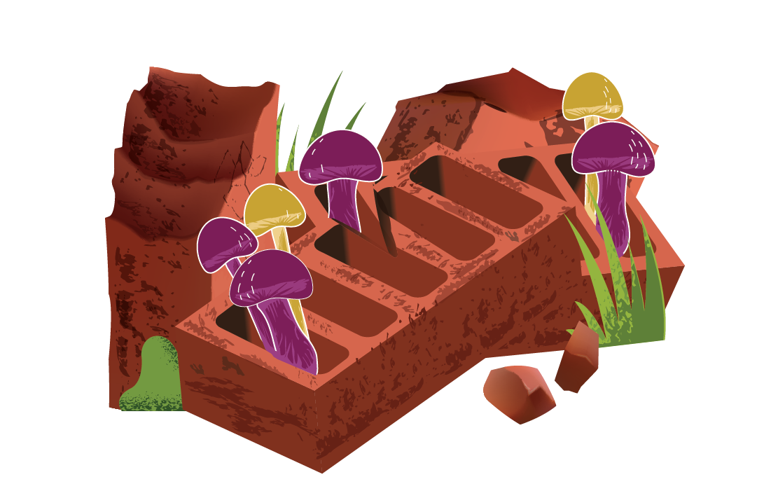 Illustration of purple and yellow mushrooms growing from a brick among ruins with grass and soil.