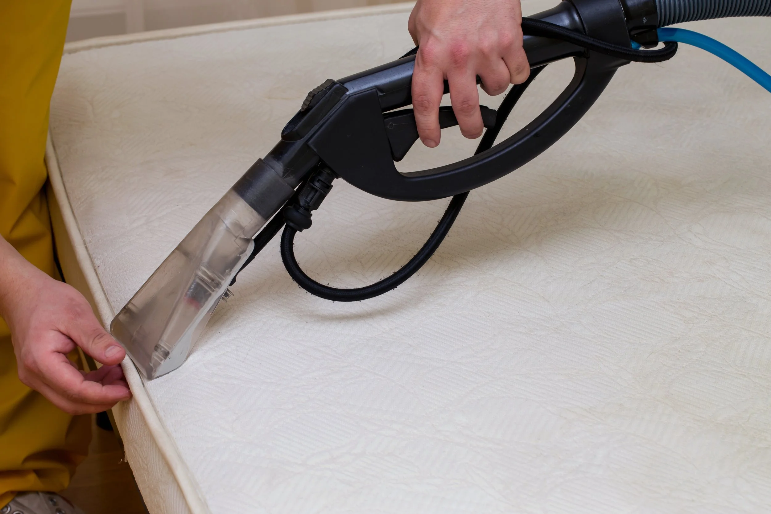 UPHOLSTERY CLEANING  - TOUCH-UP SERVICE
