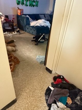A cluttered bedroom with a blue bed, scattered clothes, and a black dog lying on the carpet.