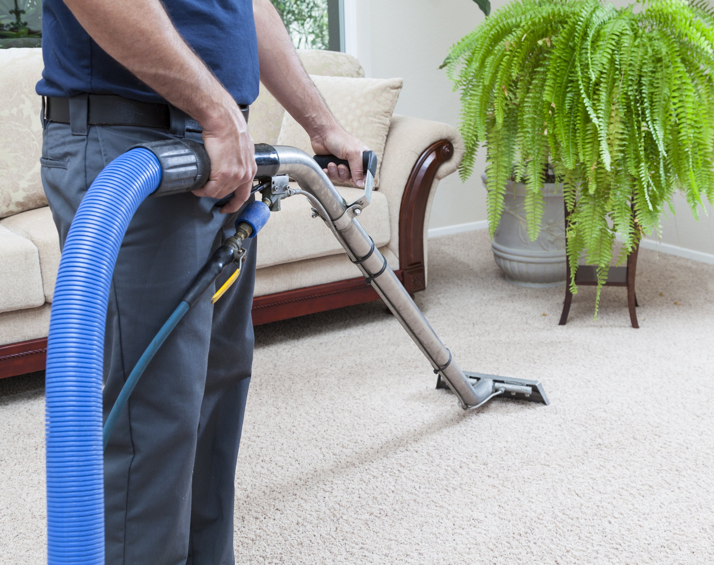 3 BEDROOMS CARPET CLEANING