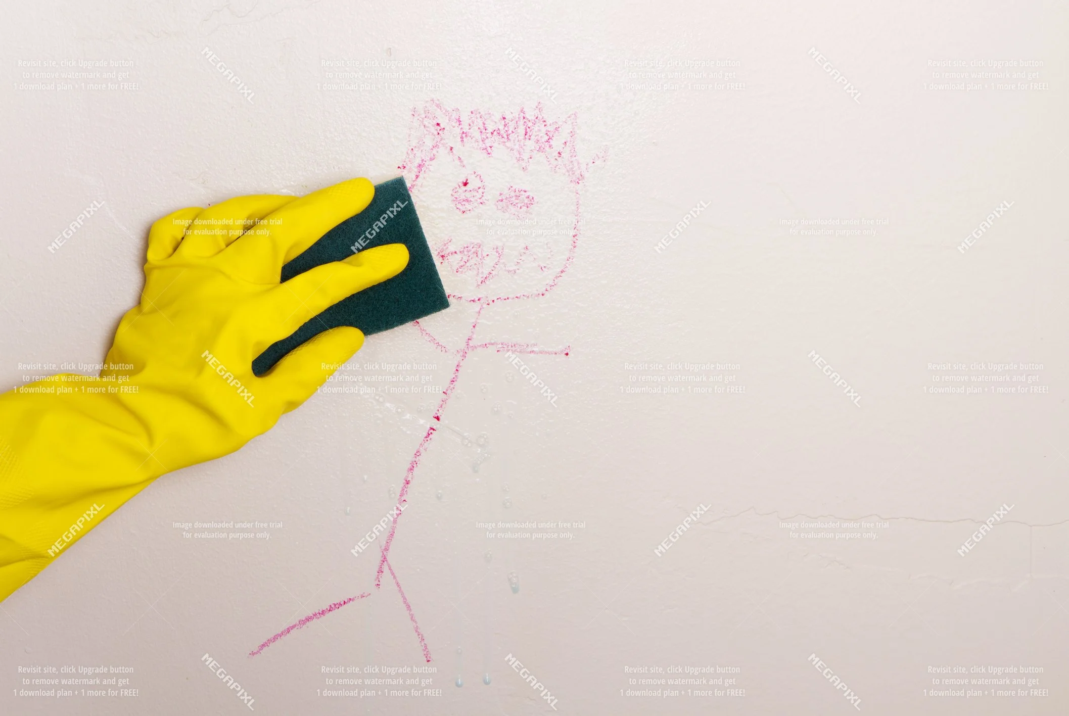 EXTRA CARE  (GREEN CLEANING PRODUCTS ONLY) -  WALL DETAIL CLEANING (60 MINUTES)