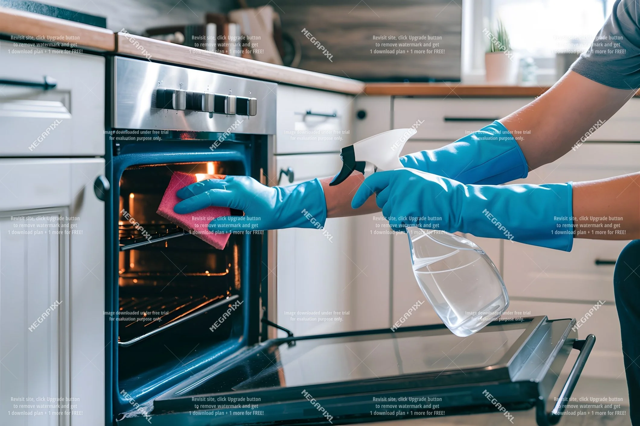 EXTRA CARE   -  OVEN CLEANING (60 MINUTES)