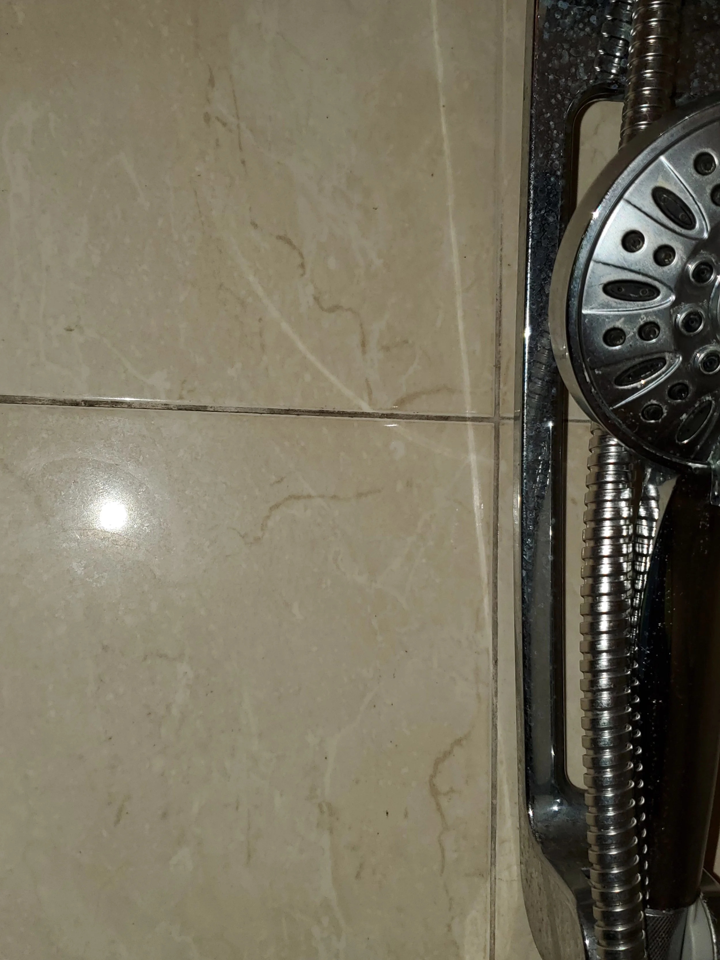 Mildew on shower wall - BEFORE CLEANING