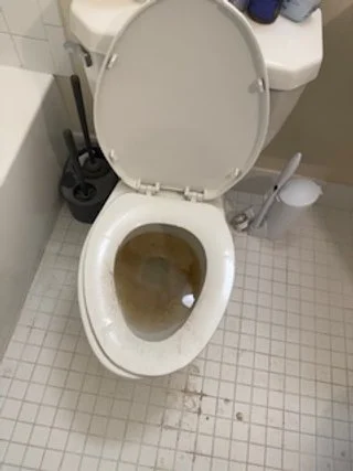 Toilet with dirty water in the bowl, in a bathroom with tiled floor.