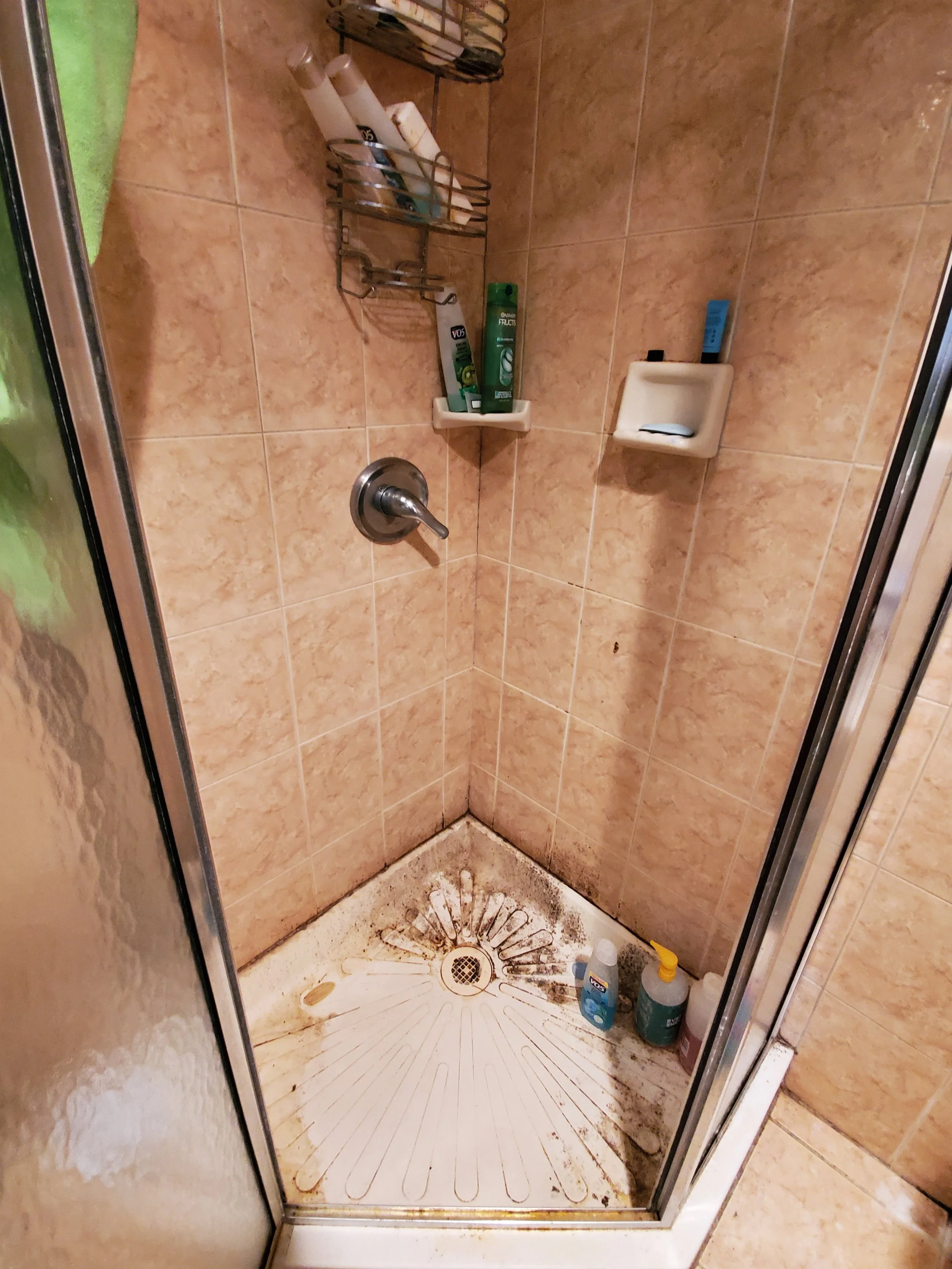 Shower with mildew - BEFORE DEEP CLEANING