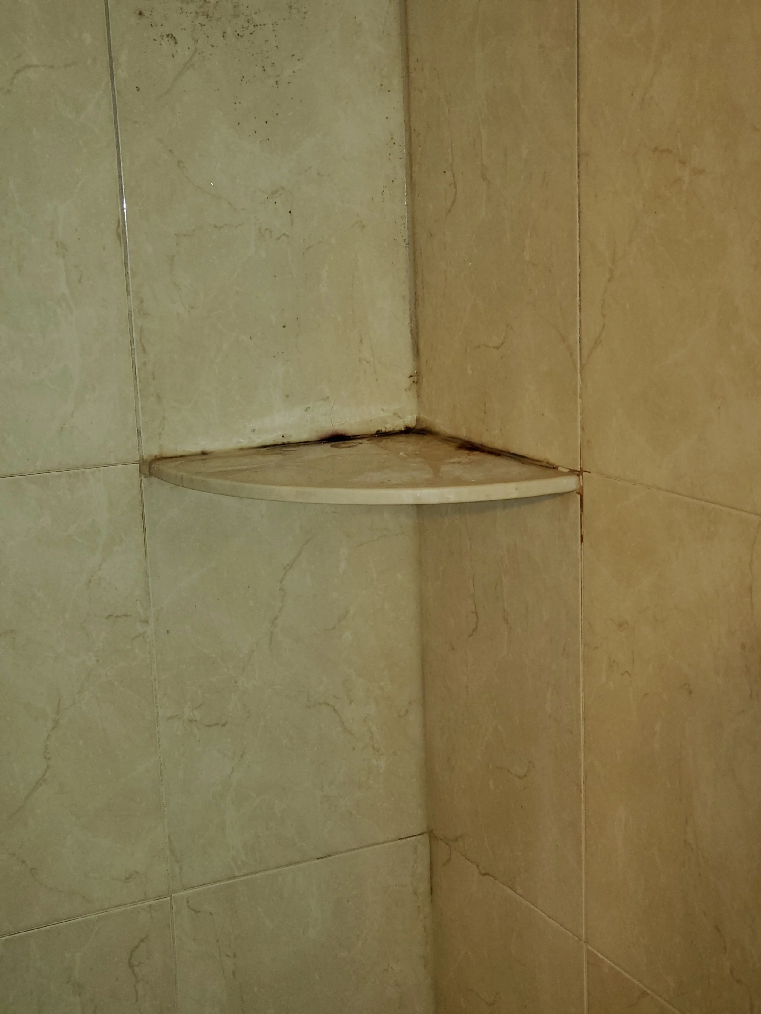 Shower shelf with mildew - BEFORE CLEANING