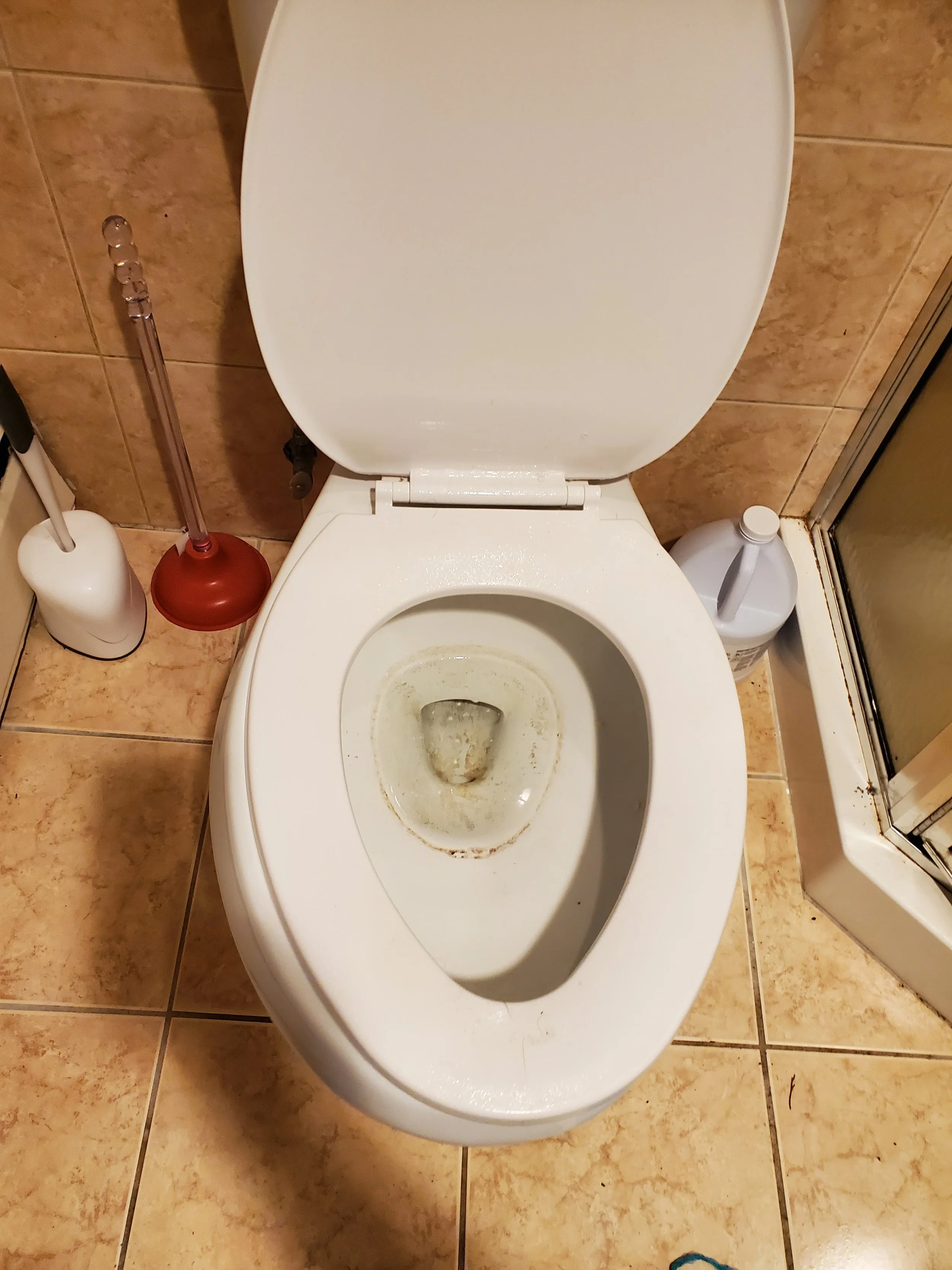 Toilet with dirt and debris -BEFORE DEEP CLEANING