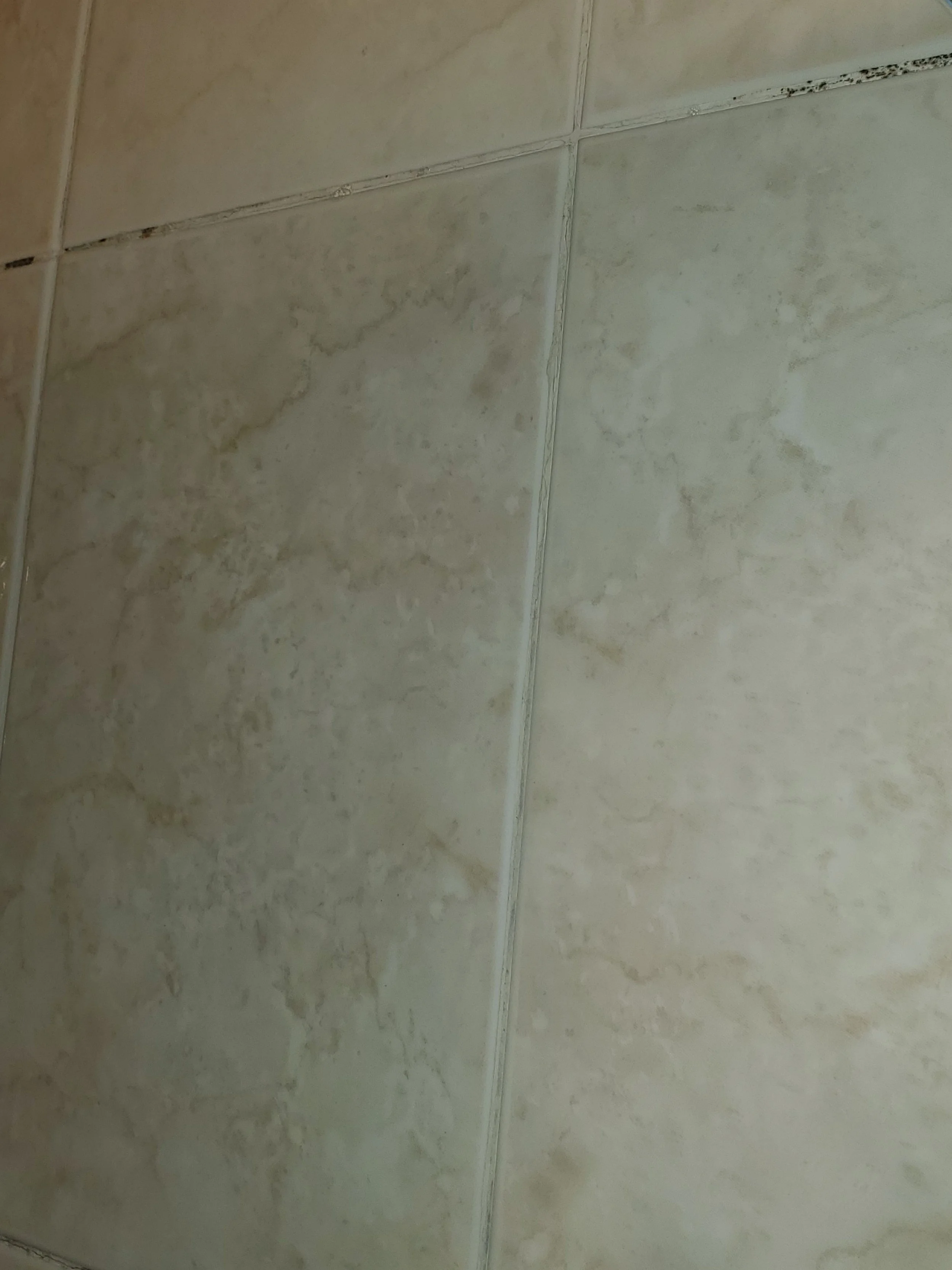 Shower wall with mildew - BEFORE DEEP CLEANING