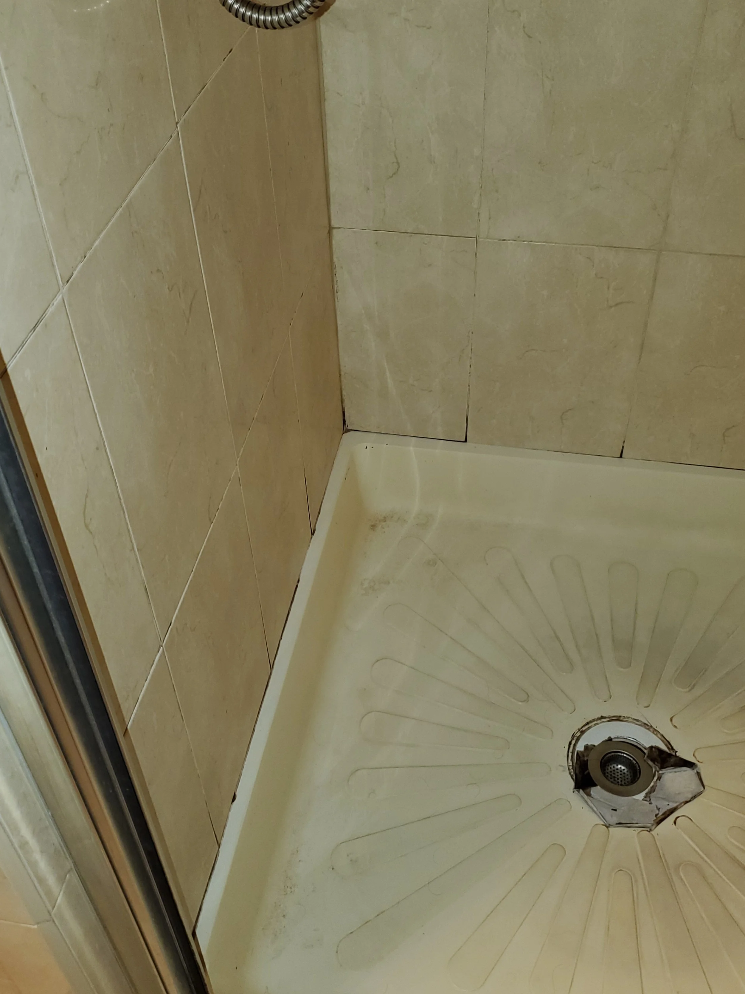 Mildew on shower wall - BEFORE CLEANING