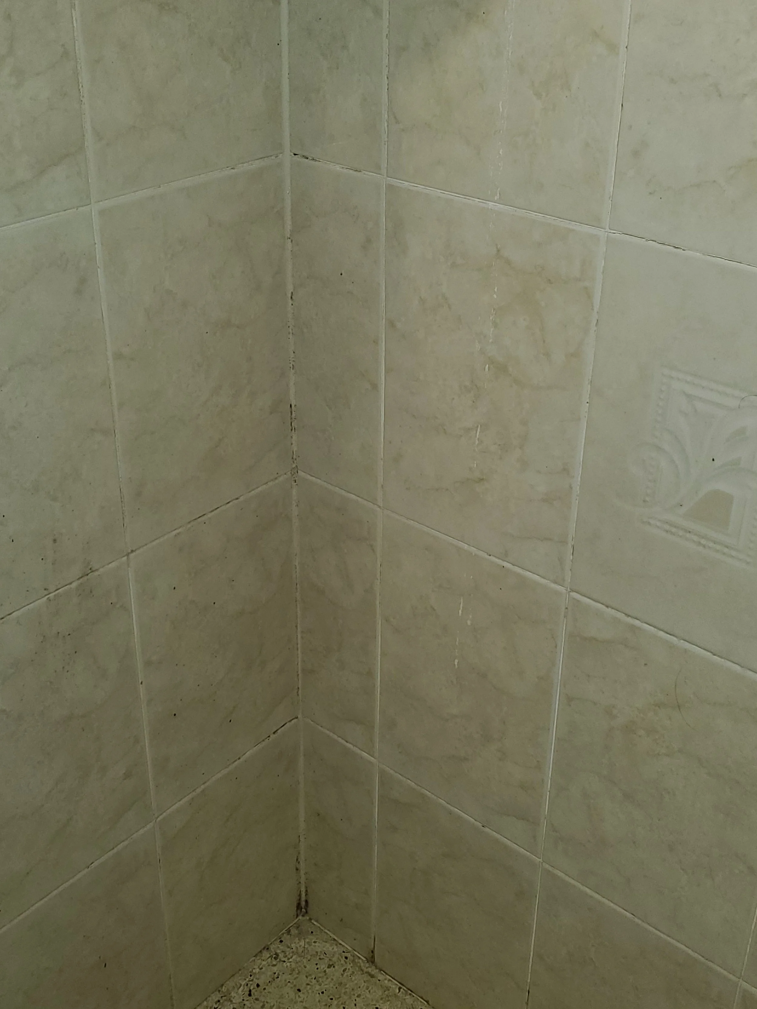 Shower wall with mildew - BEFORE DEEP CLEANING