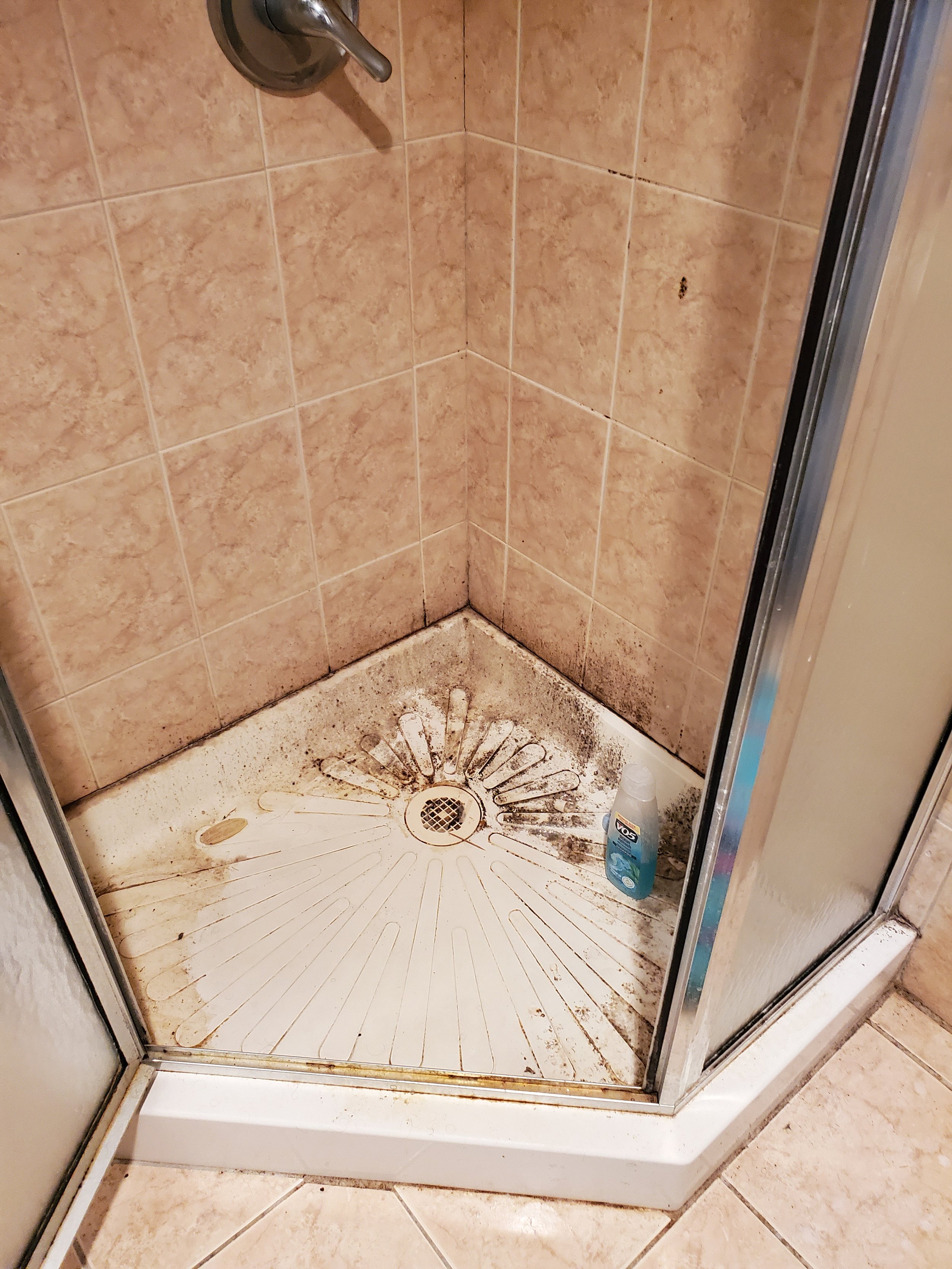 Shower with mildew - BEFORE DEEP CLEANING