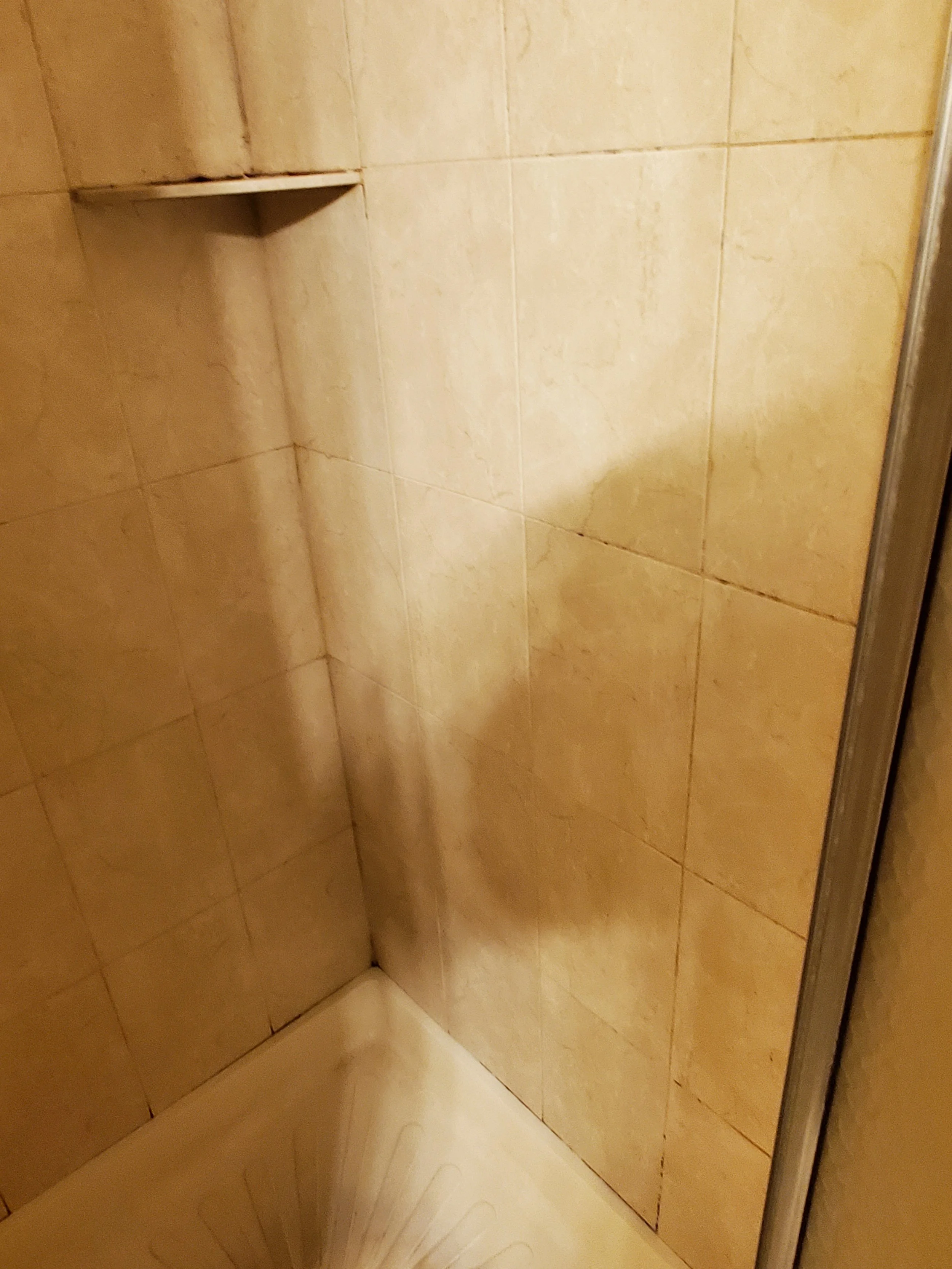 Additional angle of shower wall with mildew - BEFORE CLEANING