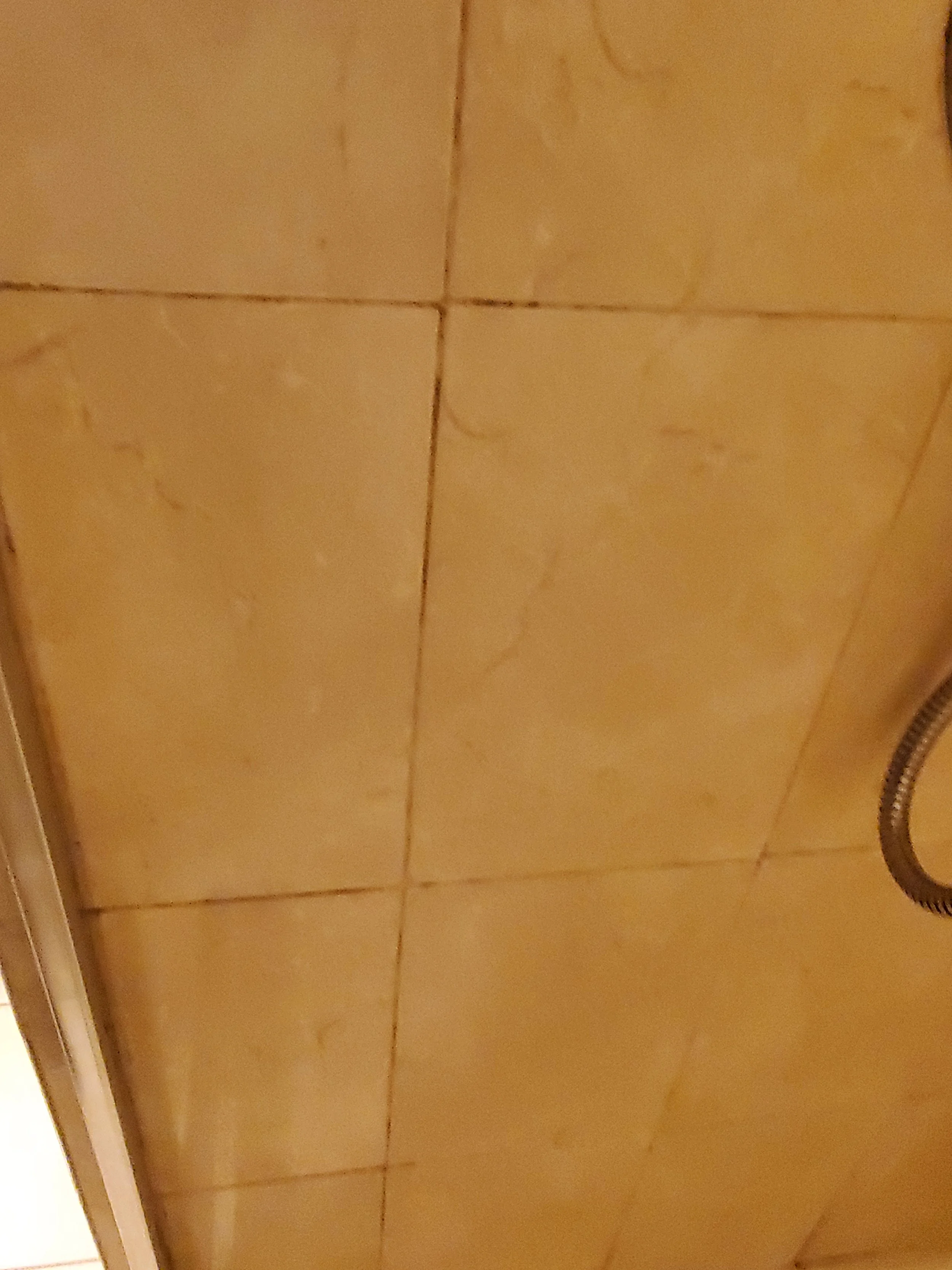Shower wall with mildew - BEFORE CLEANING
