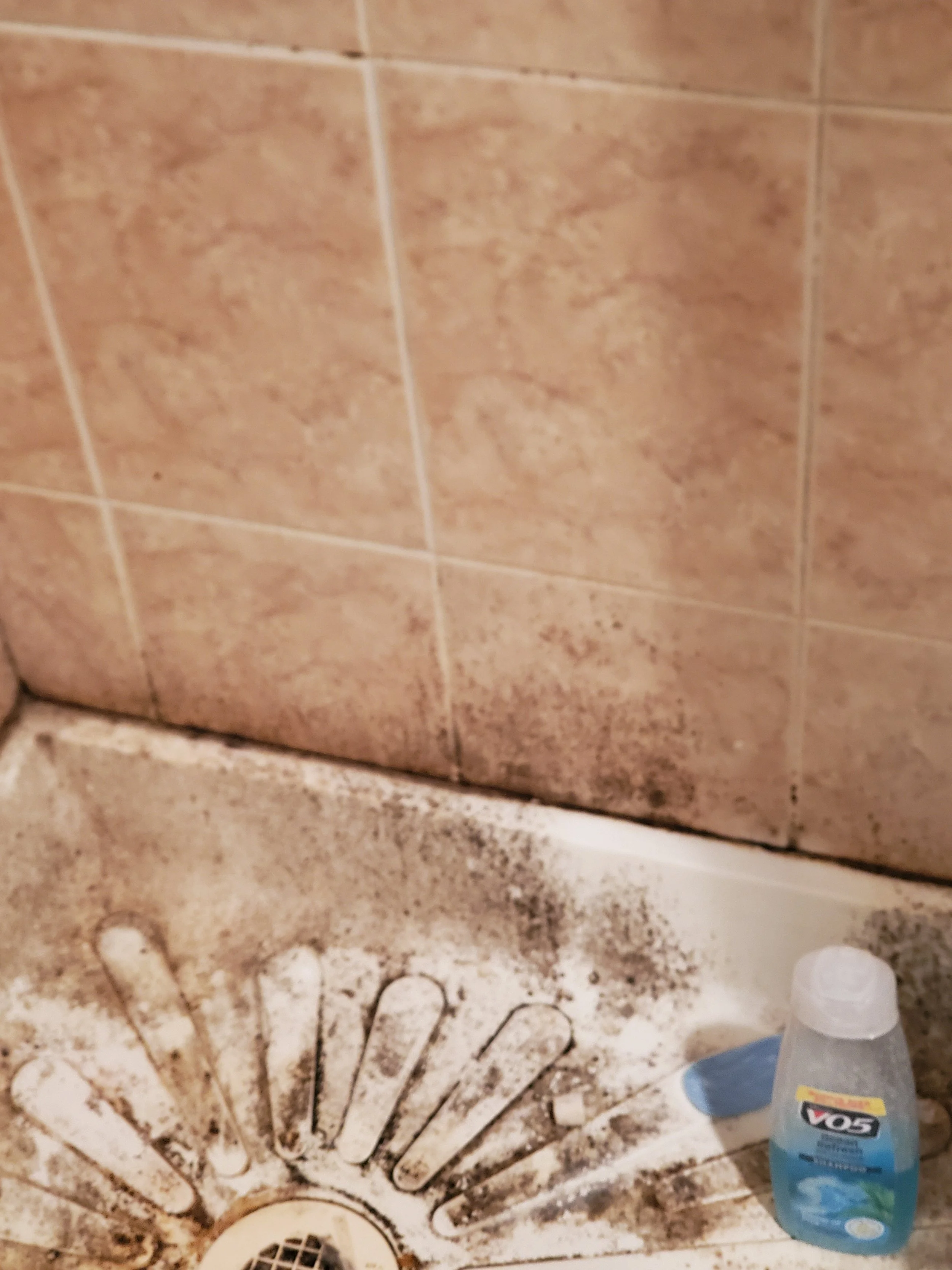 Shower with mildew - BEFORE DEEP CLEANING