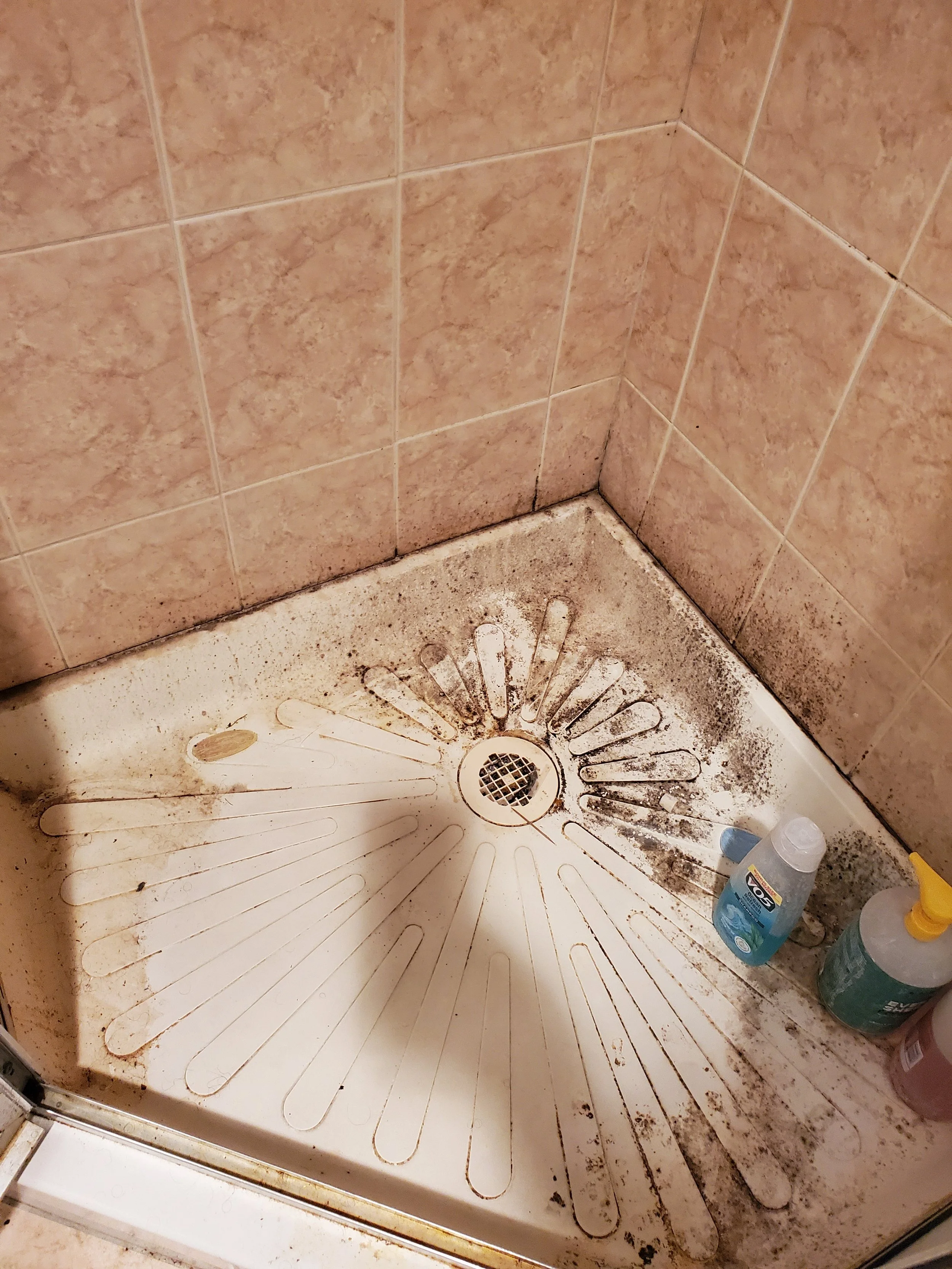 Shower with mildew - BEFORE DEEP CLEANING