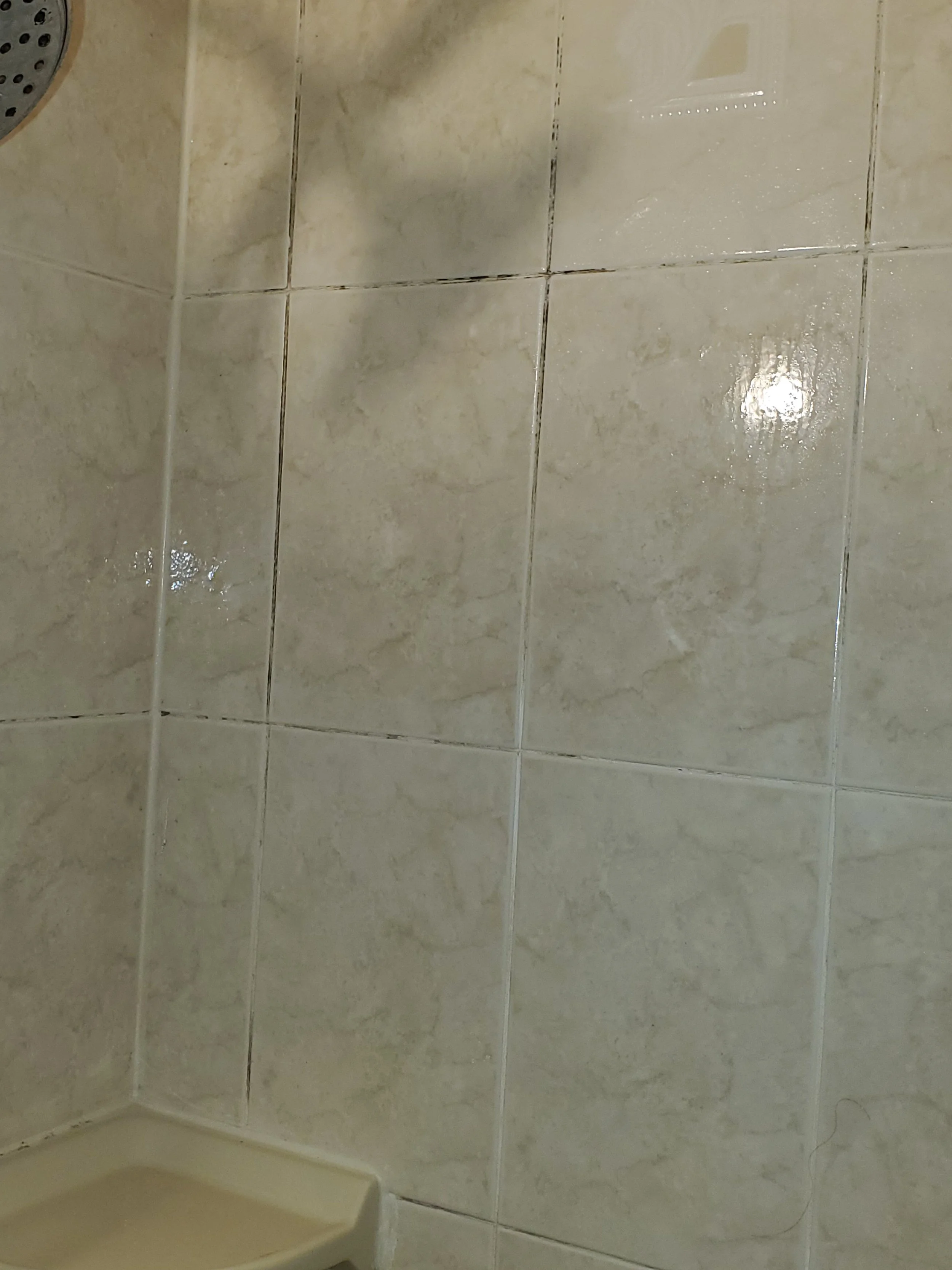 Shower wall with mildew - BEFORE DEEP CLEANING