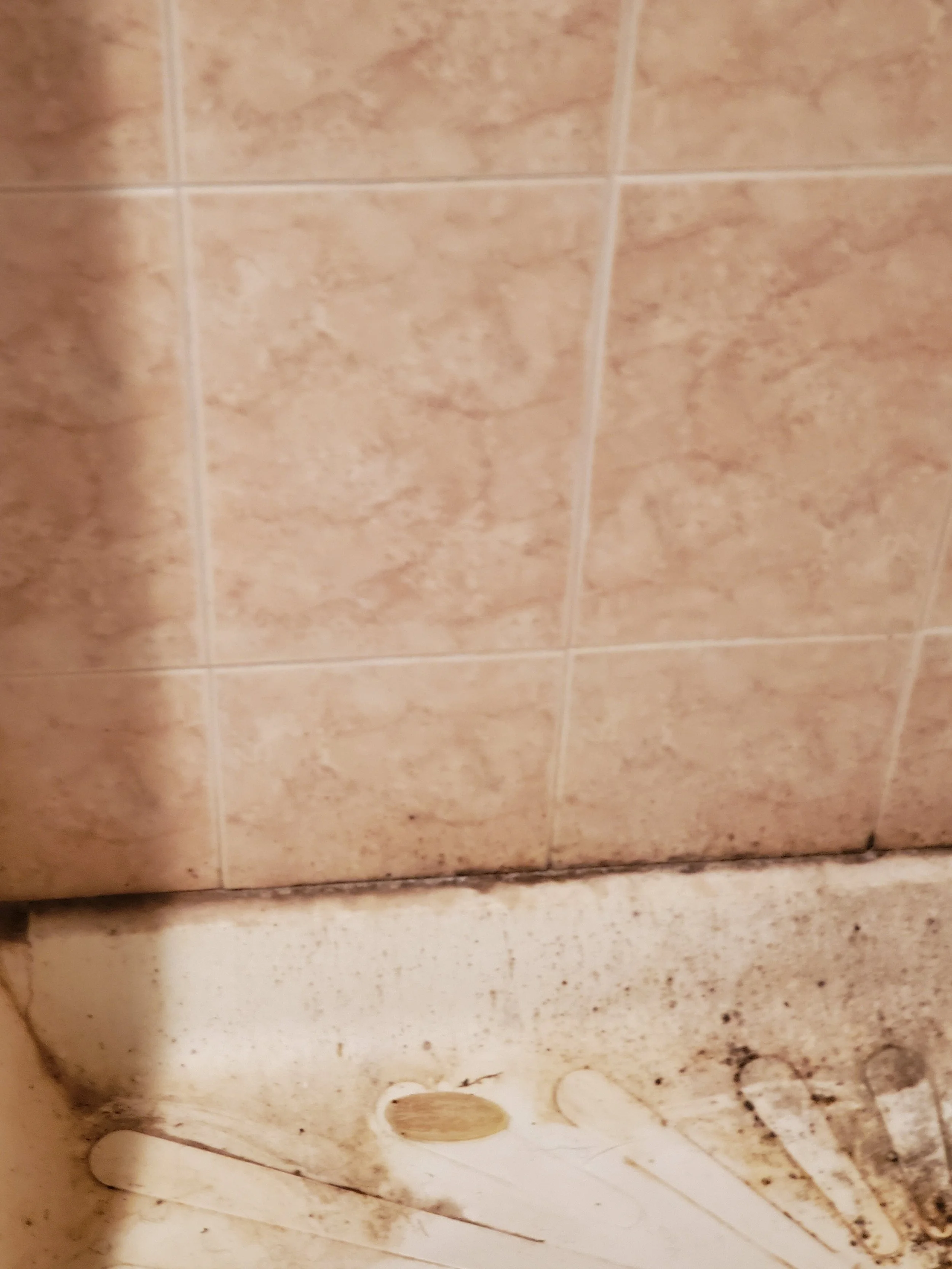 Shower with mildew - BEFORE DEEP CLEANING