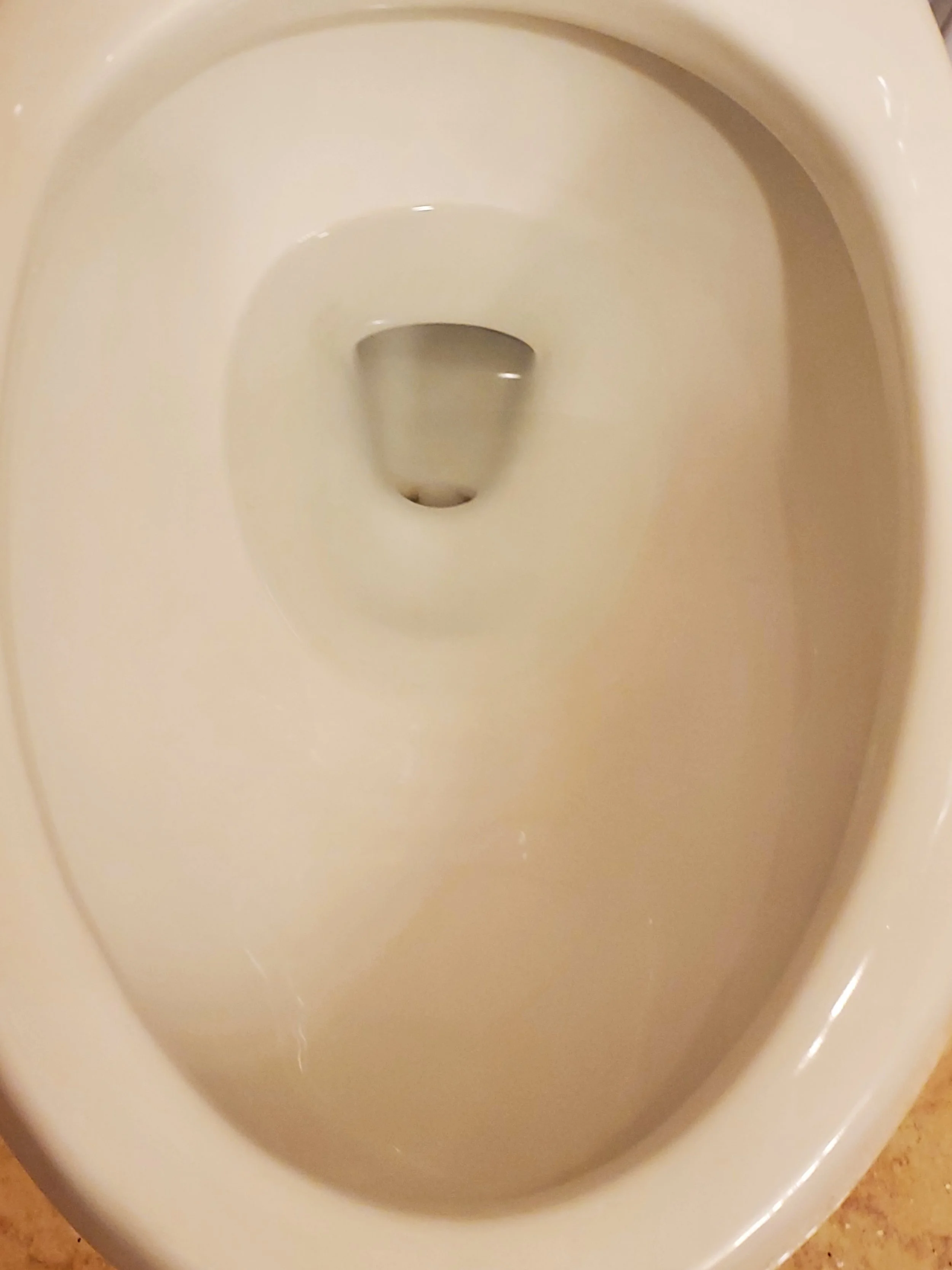 Toilet after debris and dirt cleaned - AFTER DEEP CLEANING