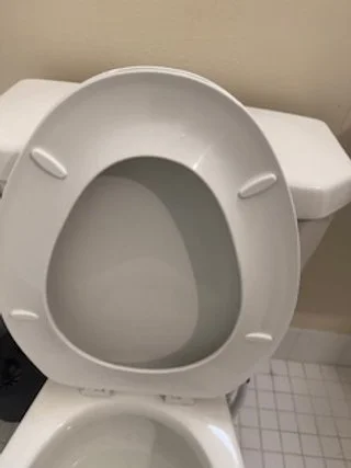 An open toilet lid in a bathroom.