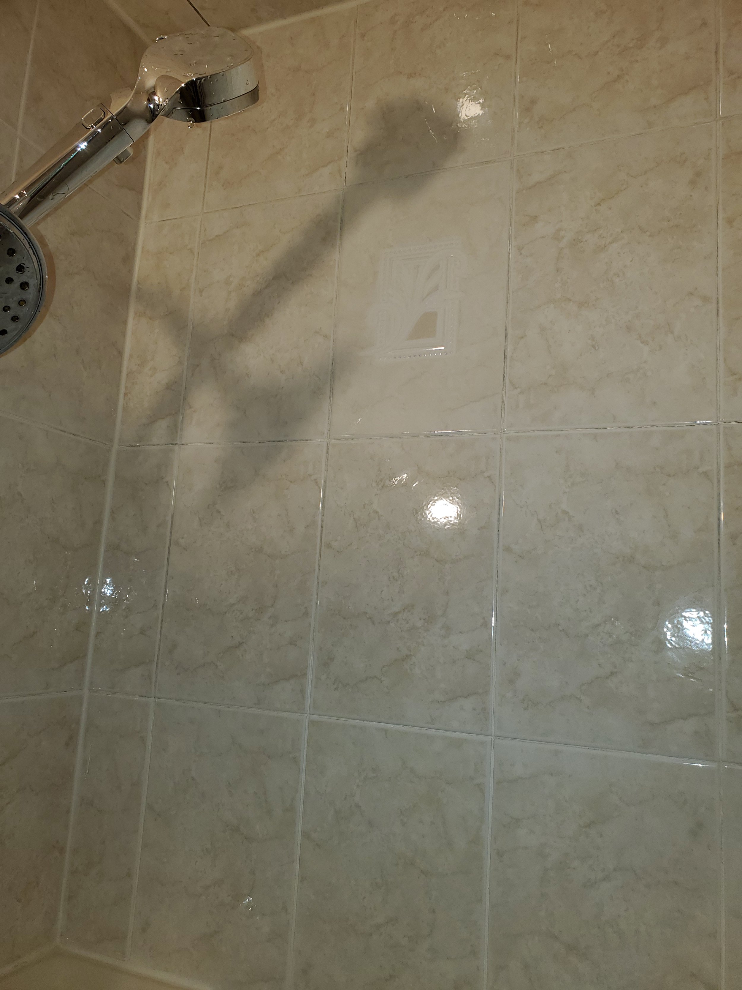 Shower after mildew removed from wall - AFTER DEEP CLEANING
