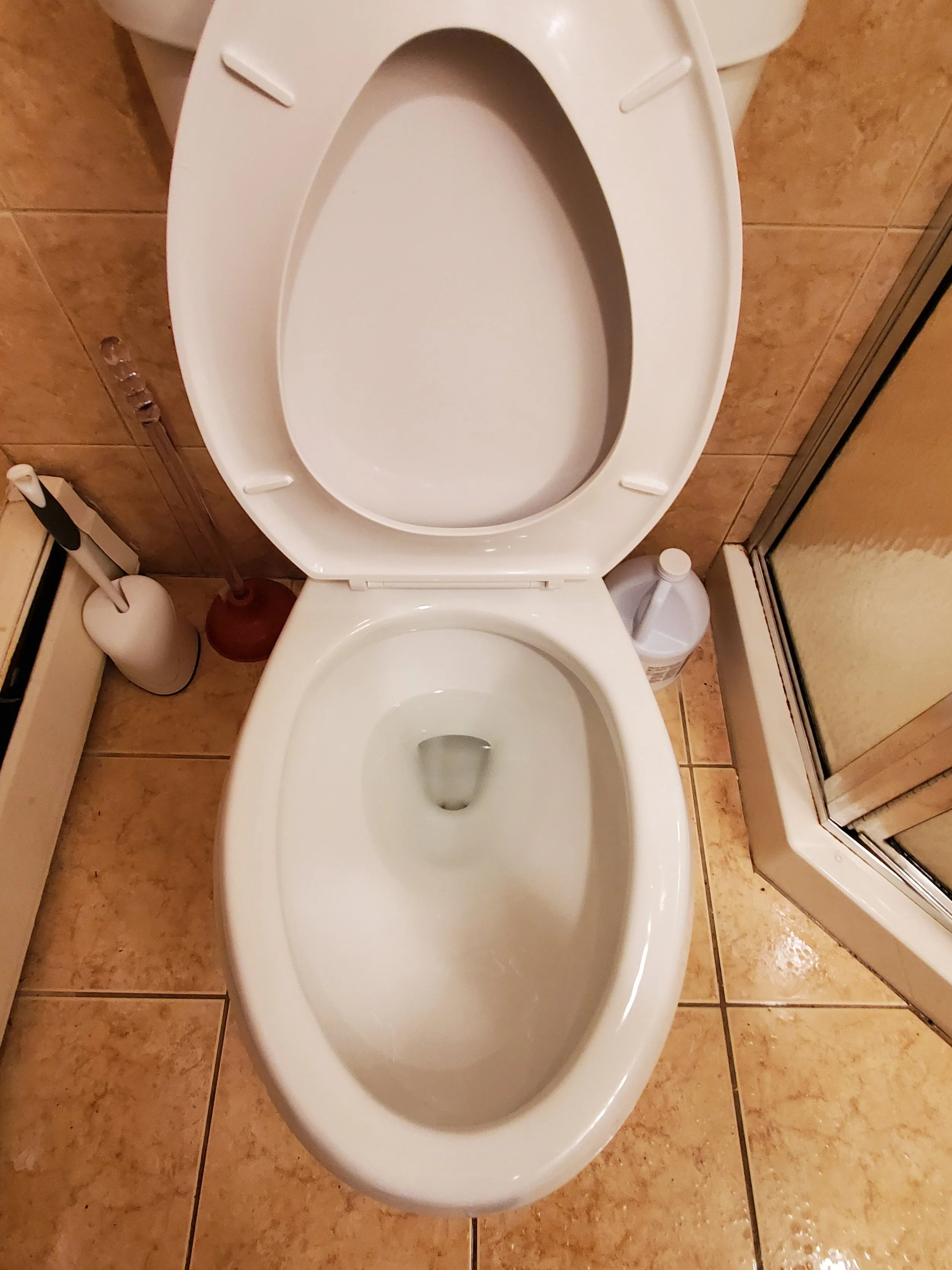 Toilet after debris and dirt cleaned - AFTER DEEP CLEANING