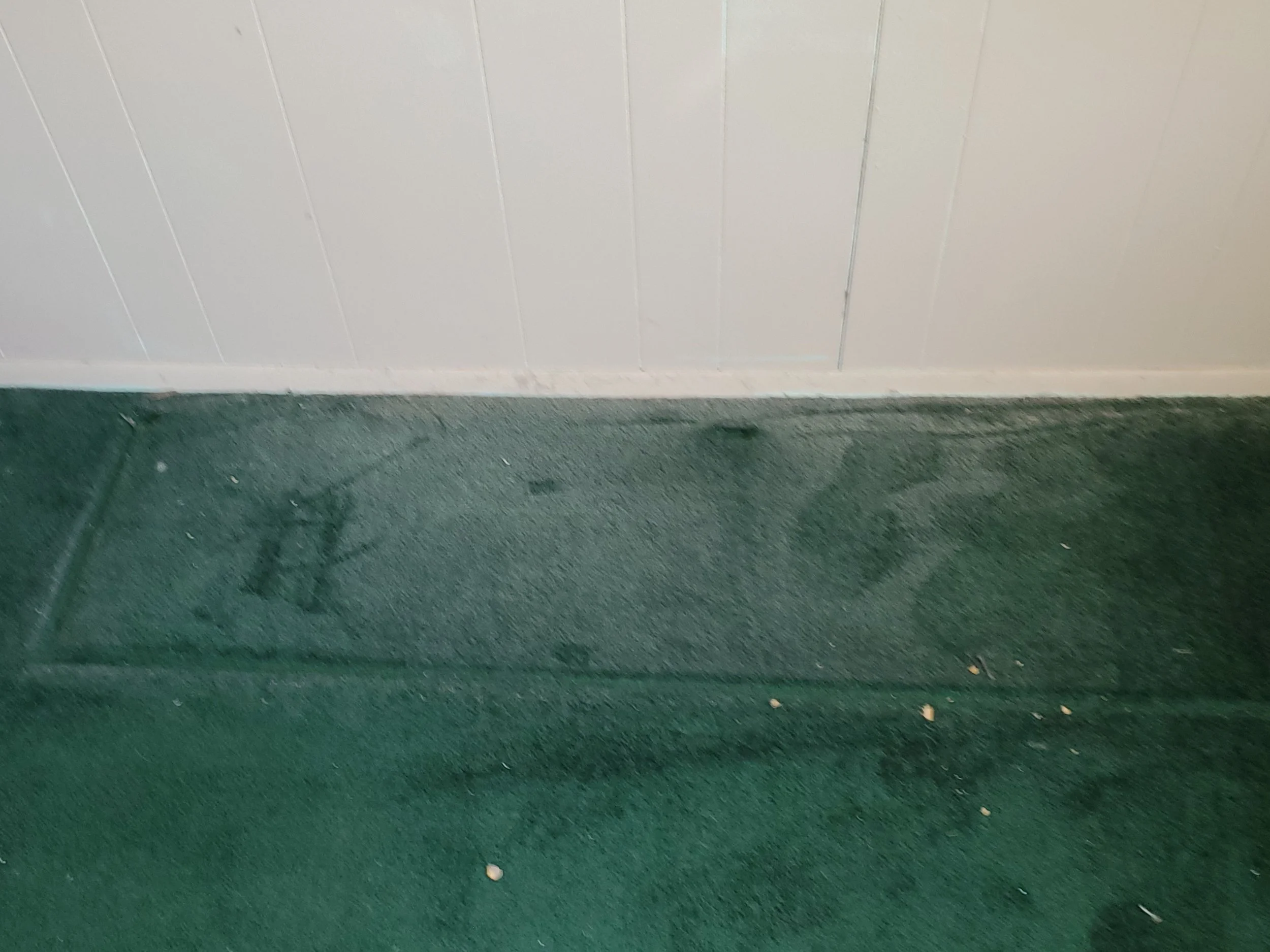 Carpet with dust & debris - BEFORE CARPET CLEANING