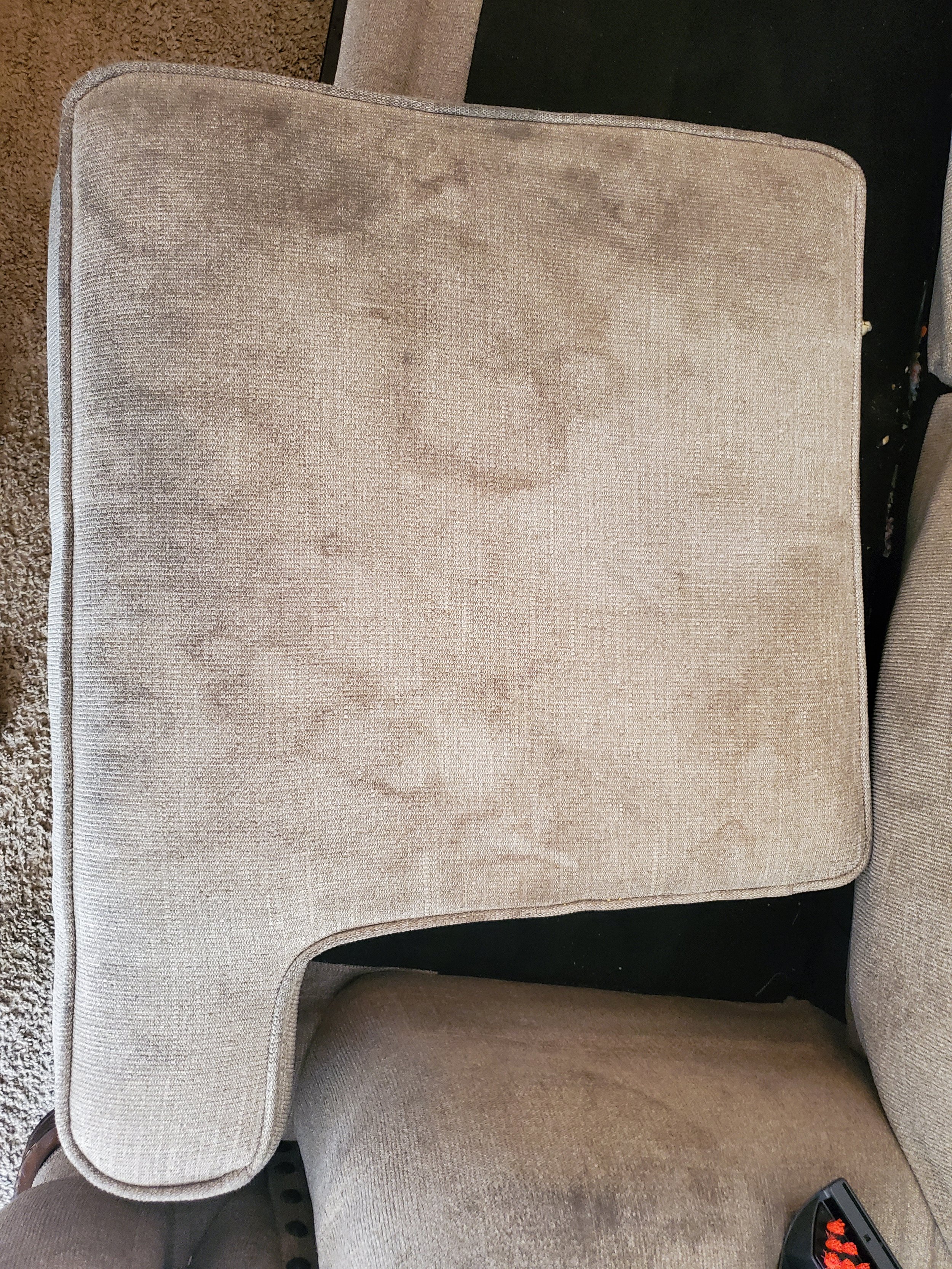 Love seat cushion with stains - BEFORE UPHOLSTERY CLEANING