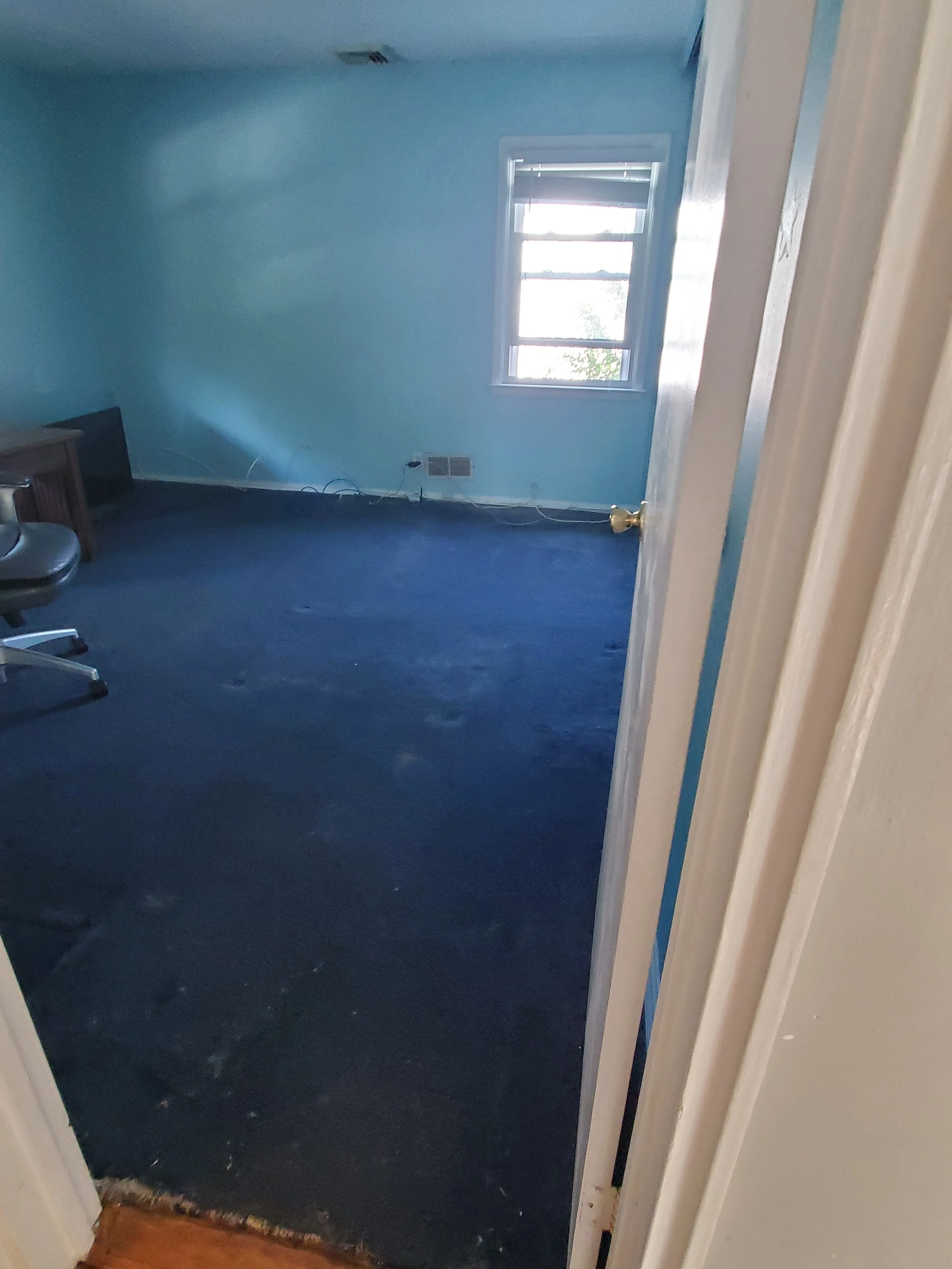 Carpet with dust , debris & dog hair - BEFORE CARPET CLEANING