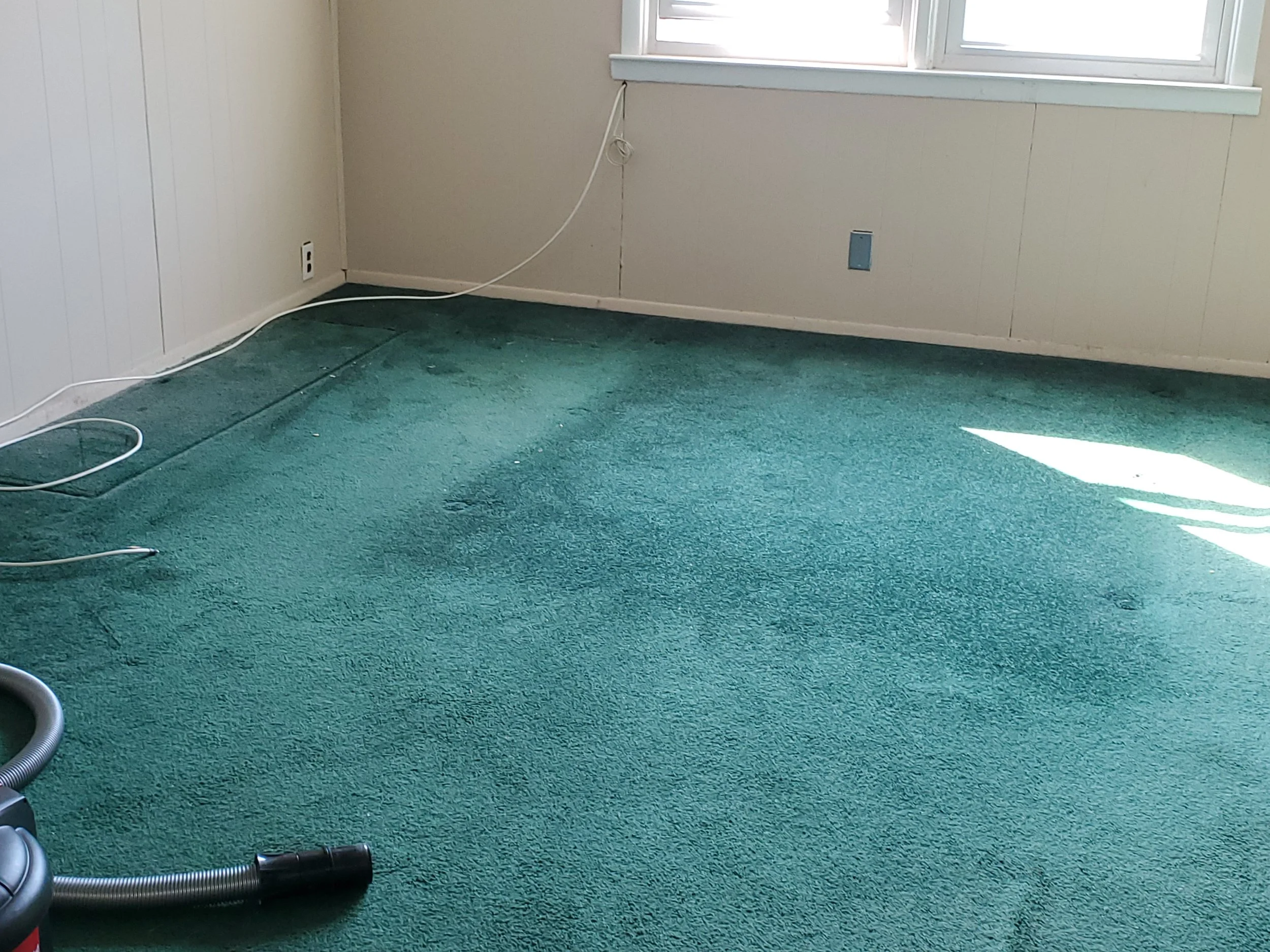 Carpet with dust & debris - BEFORE CARPET CLEANING