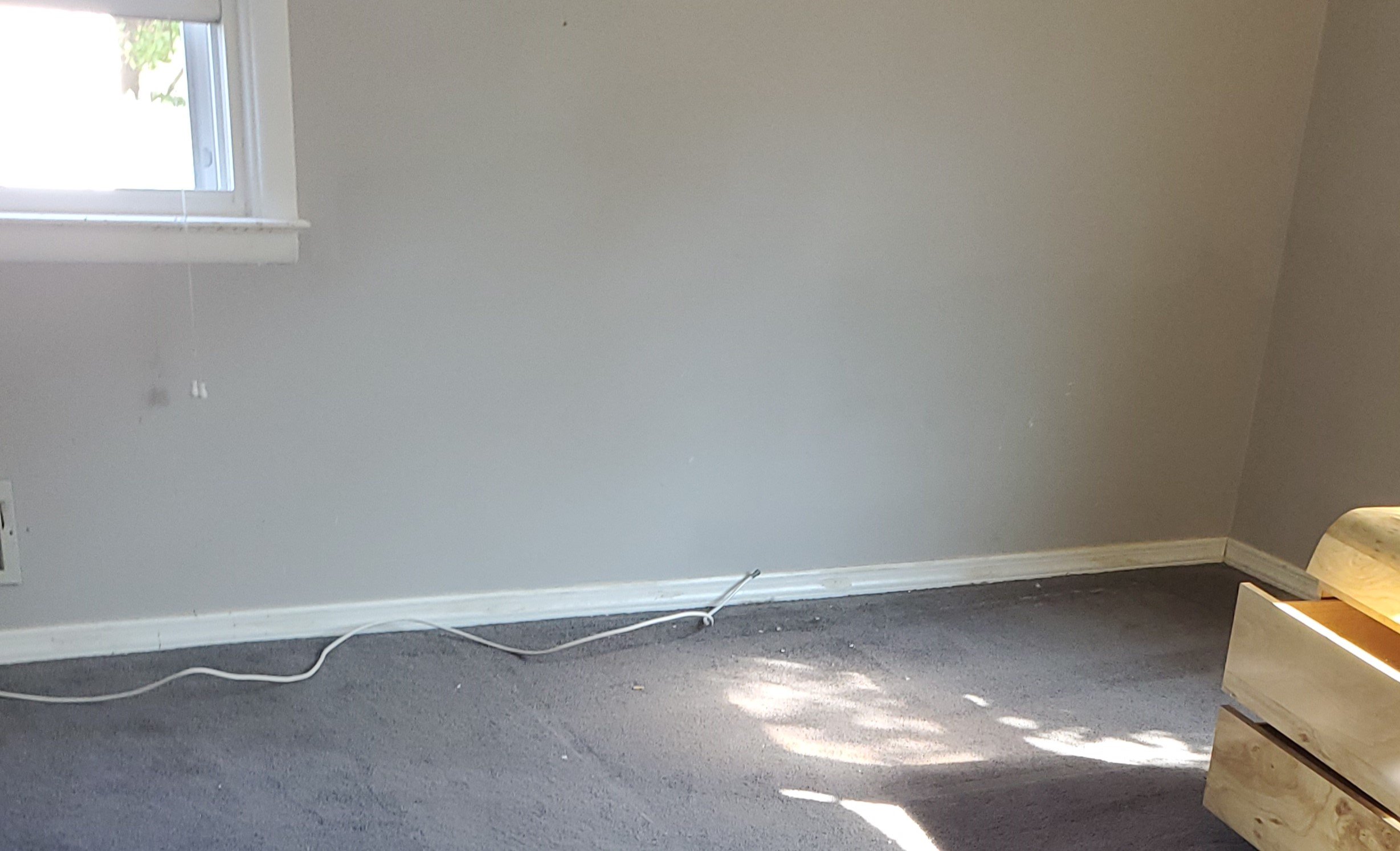 Carpet with dust , debris & dog hair - BEFORE CARPET CLEANING