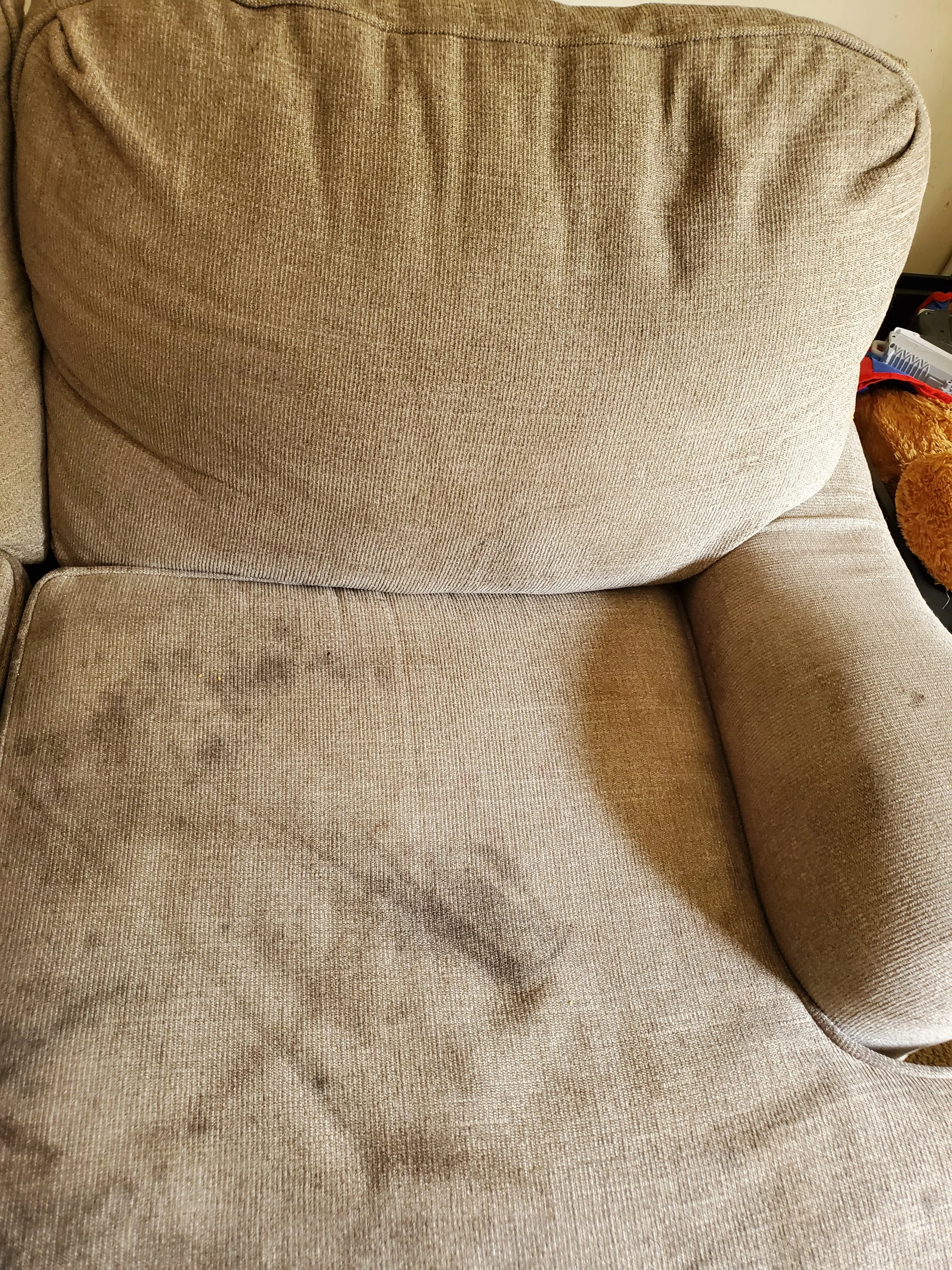 Sofa cushion with stains - BEFORE UPHOLSTERY CLEANING