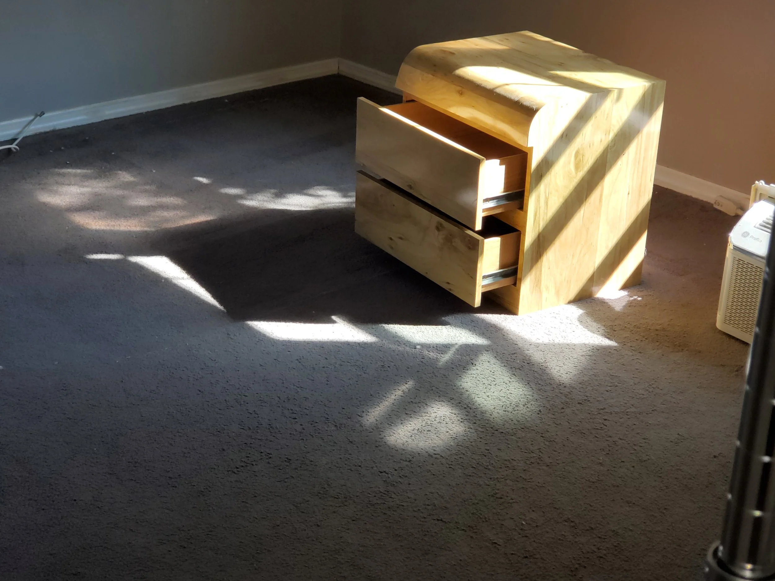 Carpet with dust & debris - BEFORE CARPET CLEANING