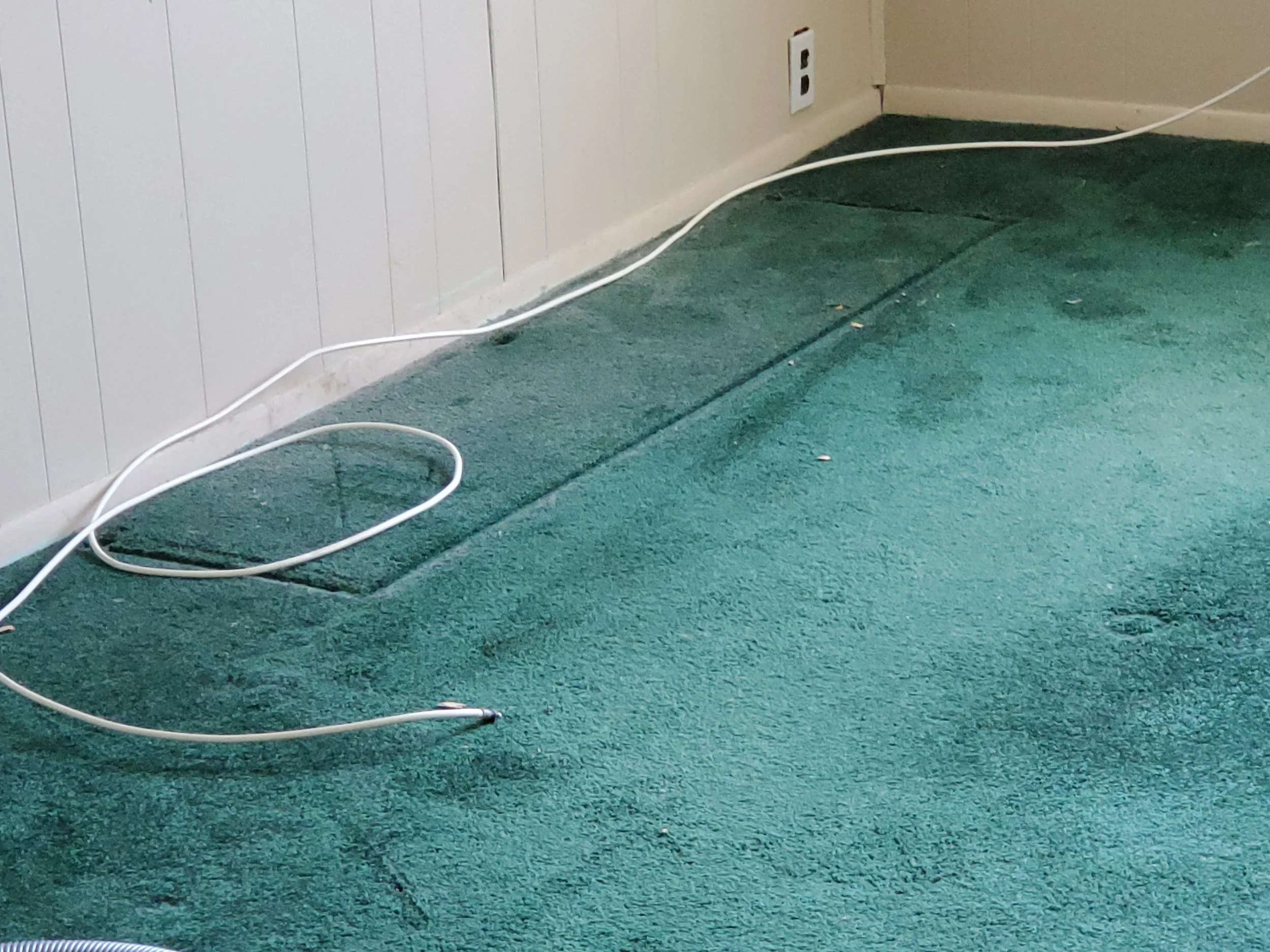 Carpet with dust & debris - BEFORE CARPET CLEANING