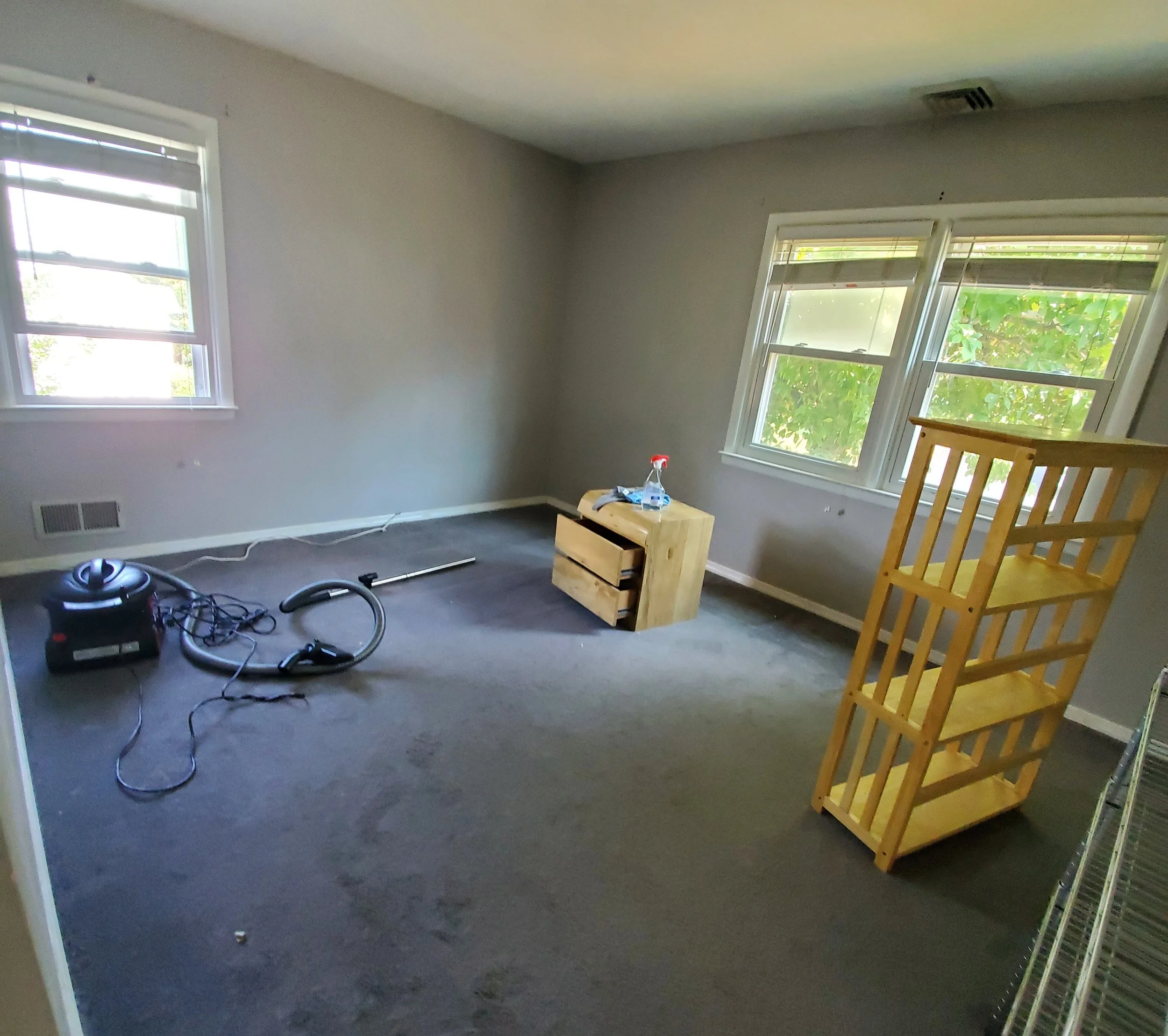Carpet with dust , debris & dog hair - BEFORE CARPET CLEANING