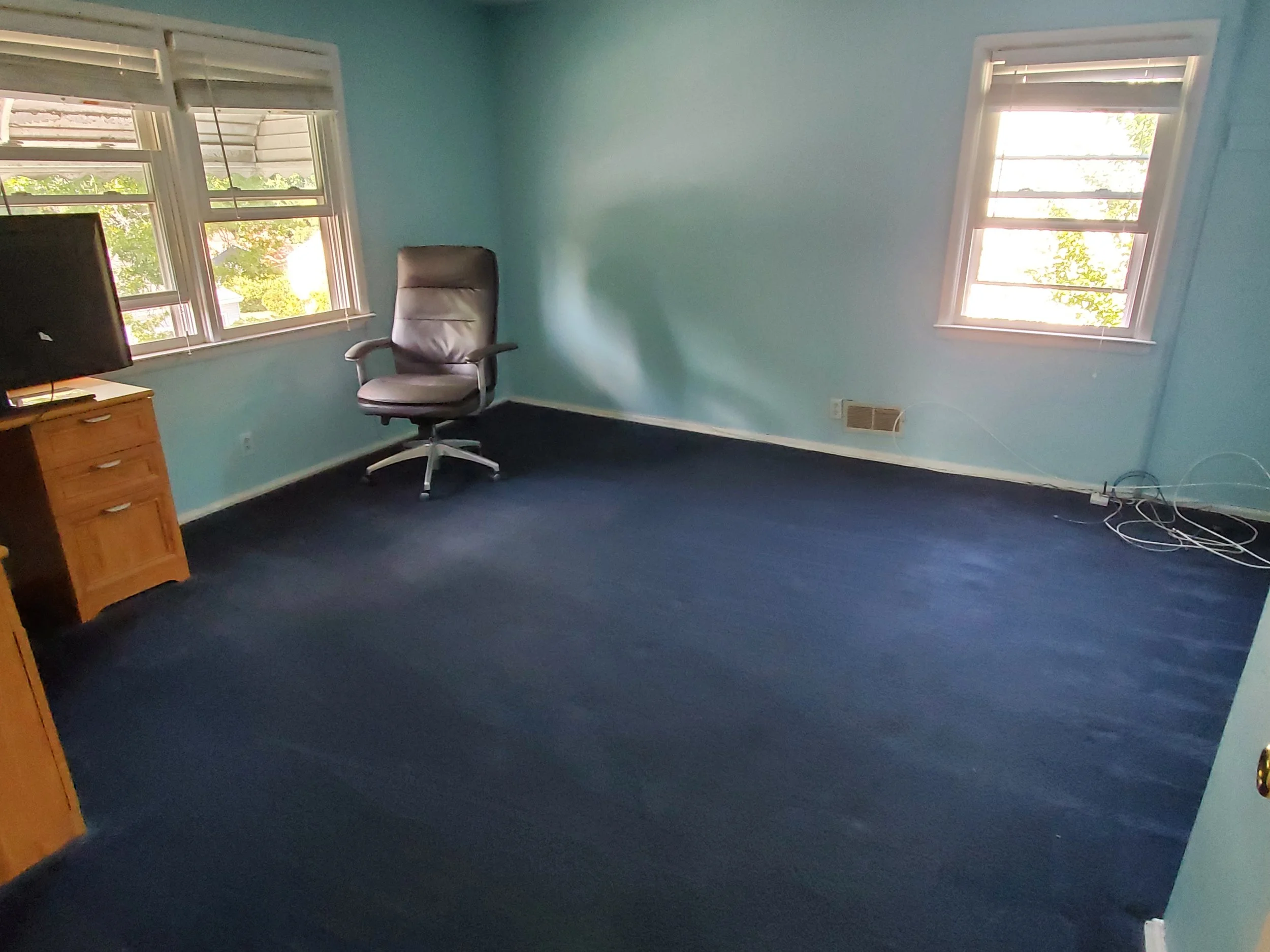 Carpet with dust , debris and dog hair removed - AFTER CARPET CLEANING