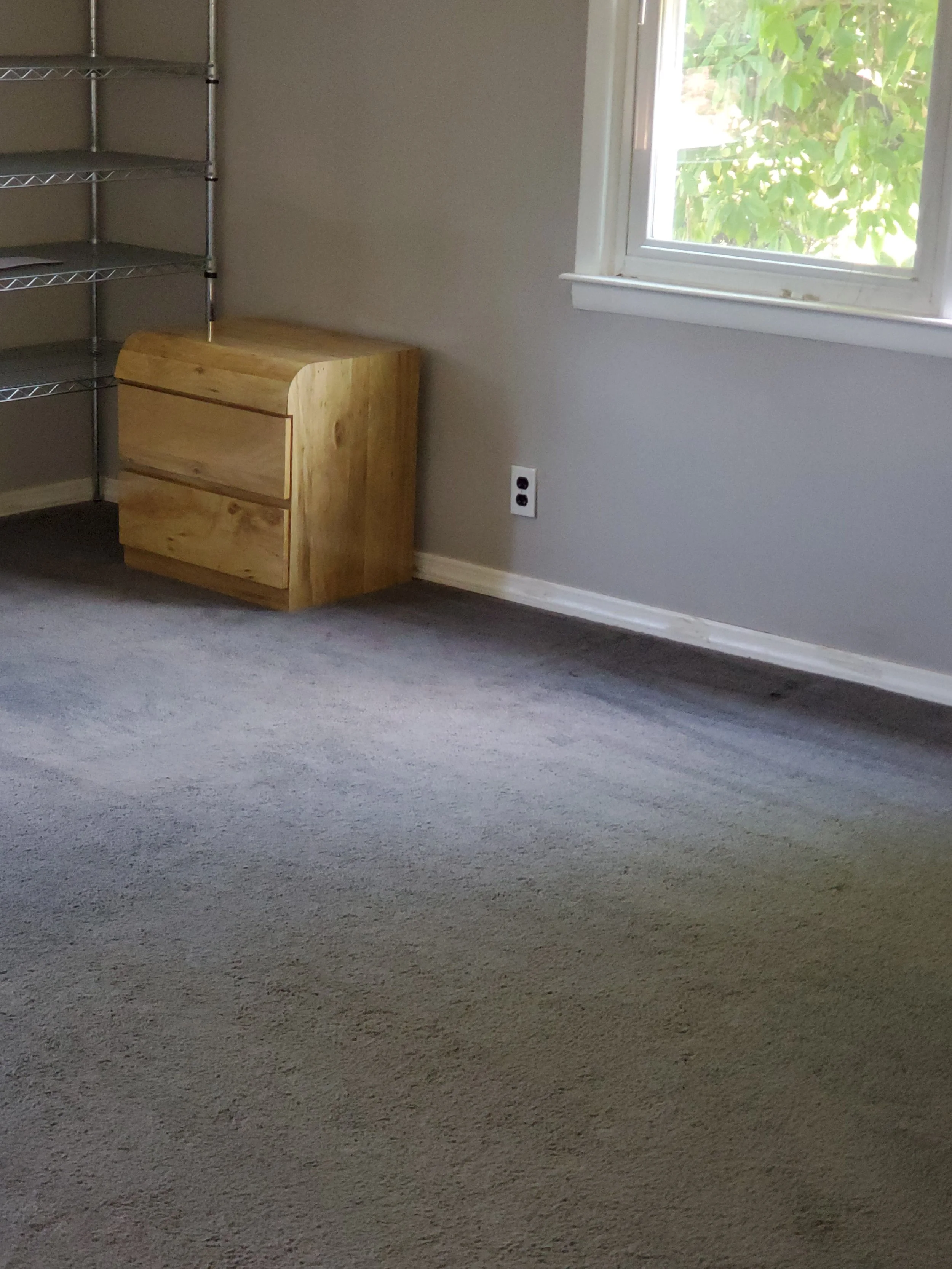 Carpet with dust , debris and dog hair removed - AFTER CARPET CLEANING