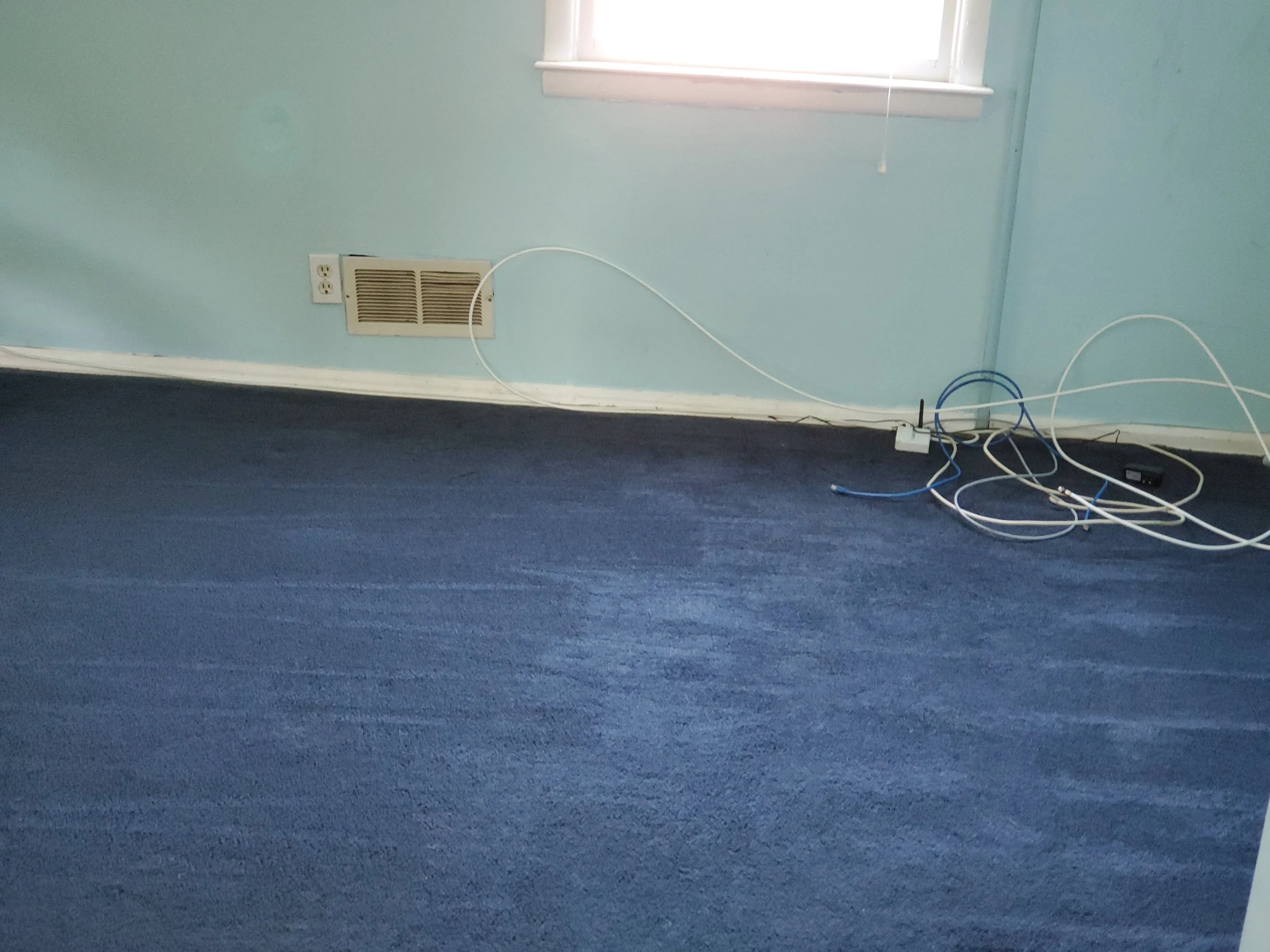 Carpet with dust , debris and dog hair removed - AFTER CARPET CLEANING