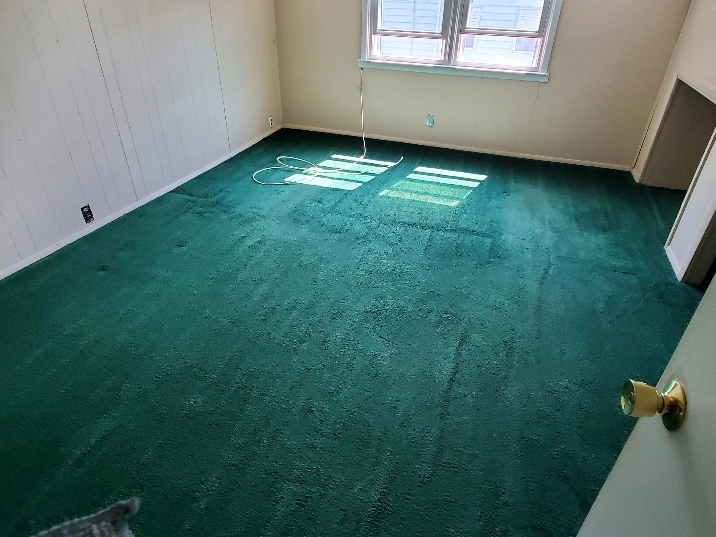 Carpet with dust and debris removed - AFTER CARPET CLEANING