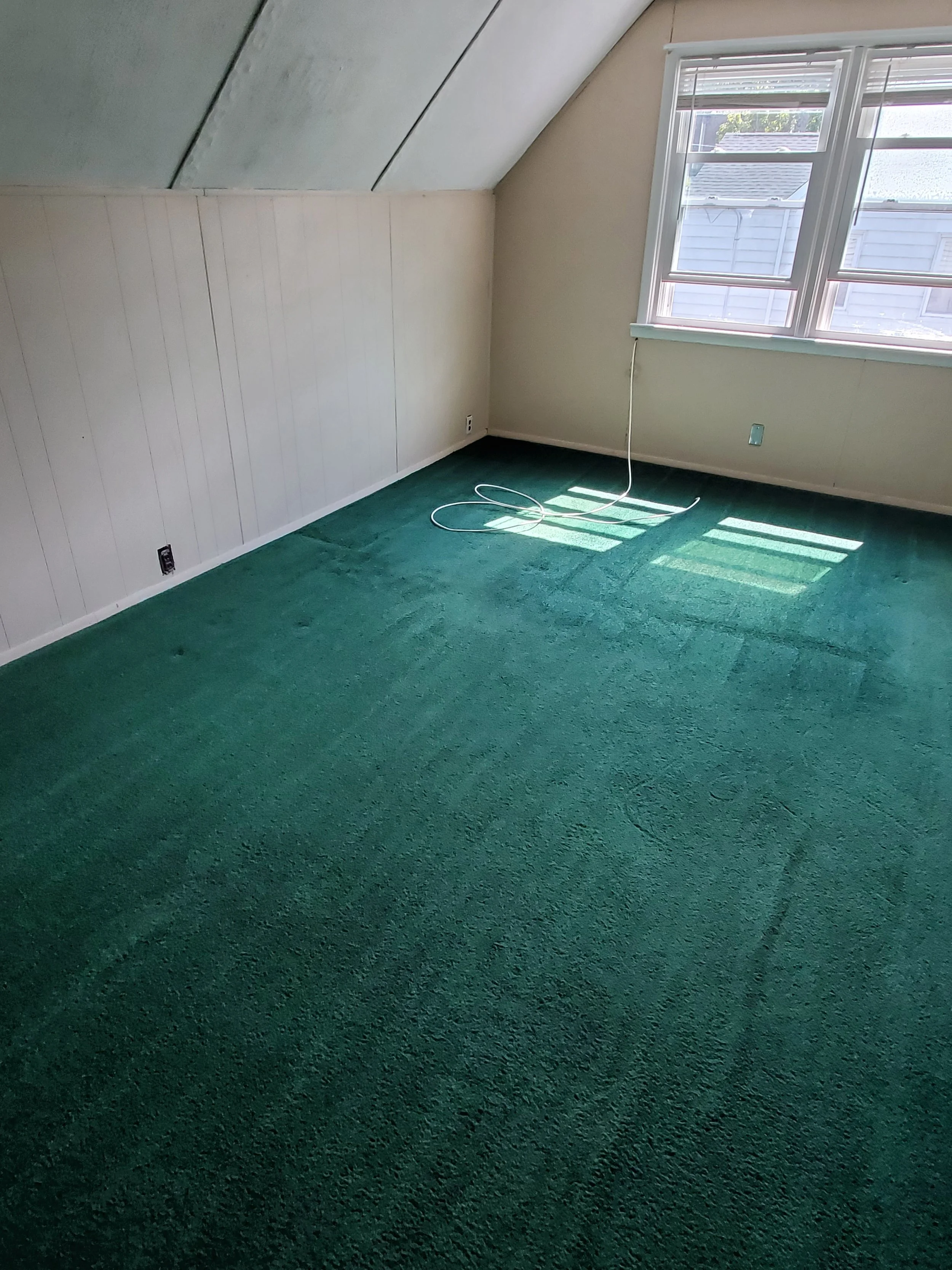 Carpet with dust and debris removed - AFTER CARPET CLEANING