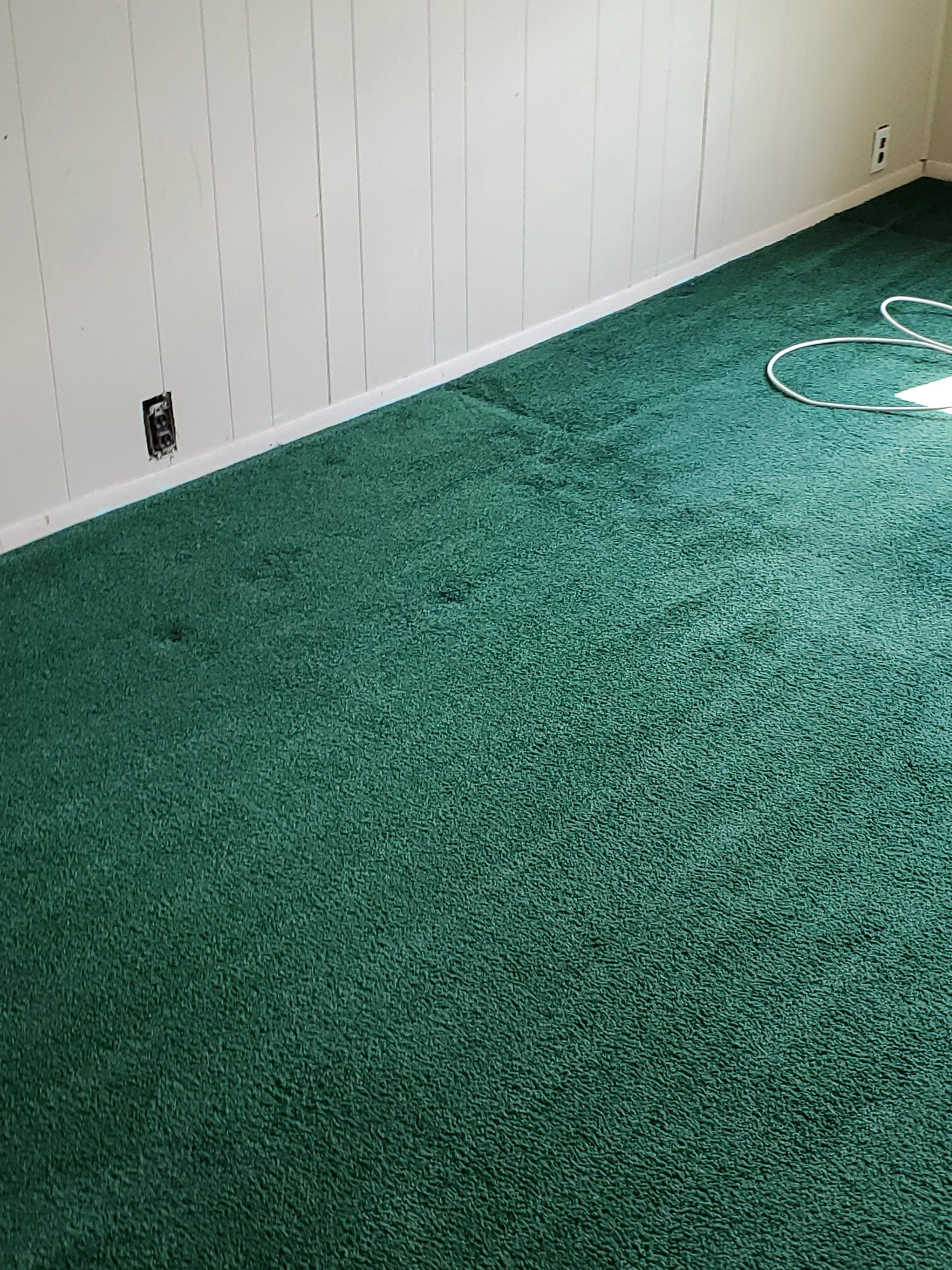Carpet with dust and debris removed - AFTER CARPET CLEANING
