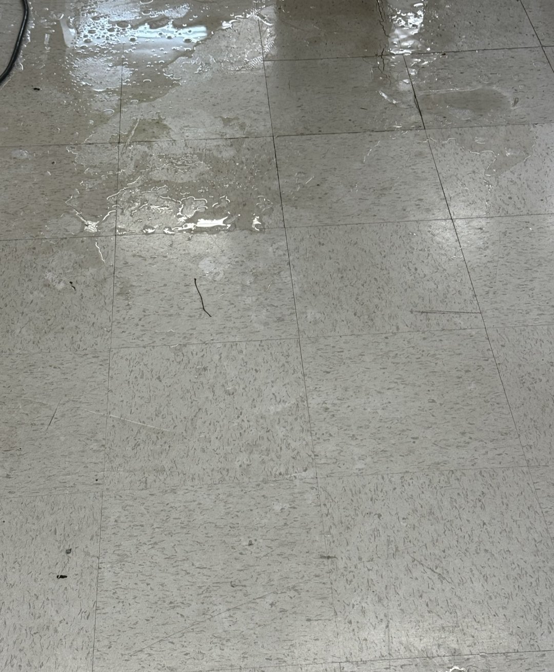 Wet tiled floor with a puddle of water and some plastic debris.