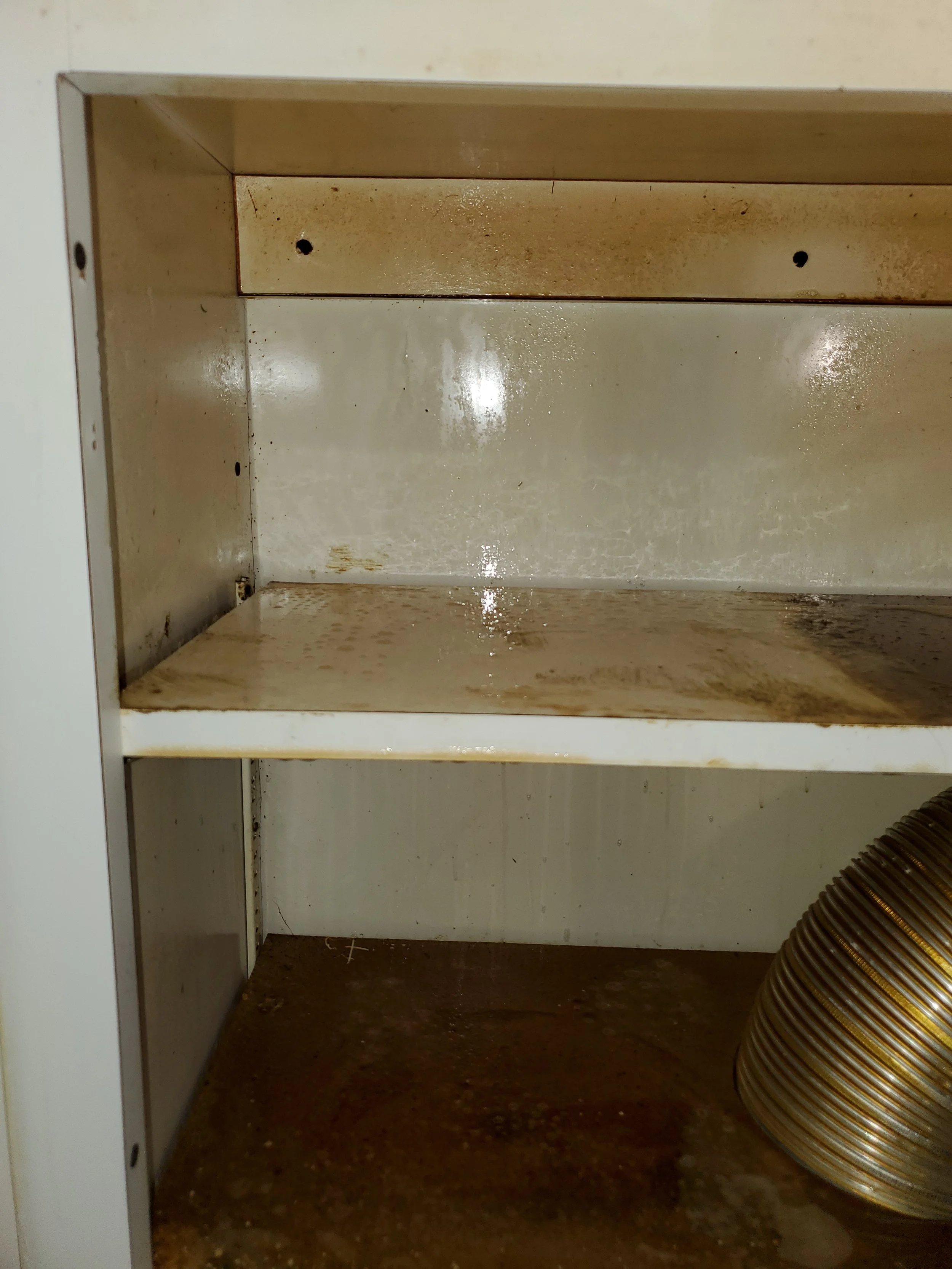 Another Angle (Greasy Shelf) - BEFORE CLEAN-UP