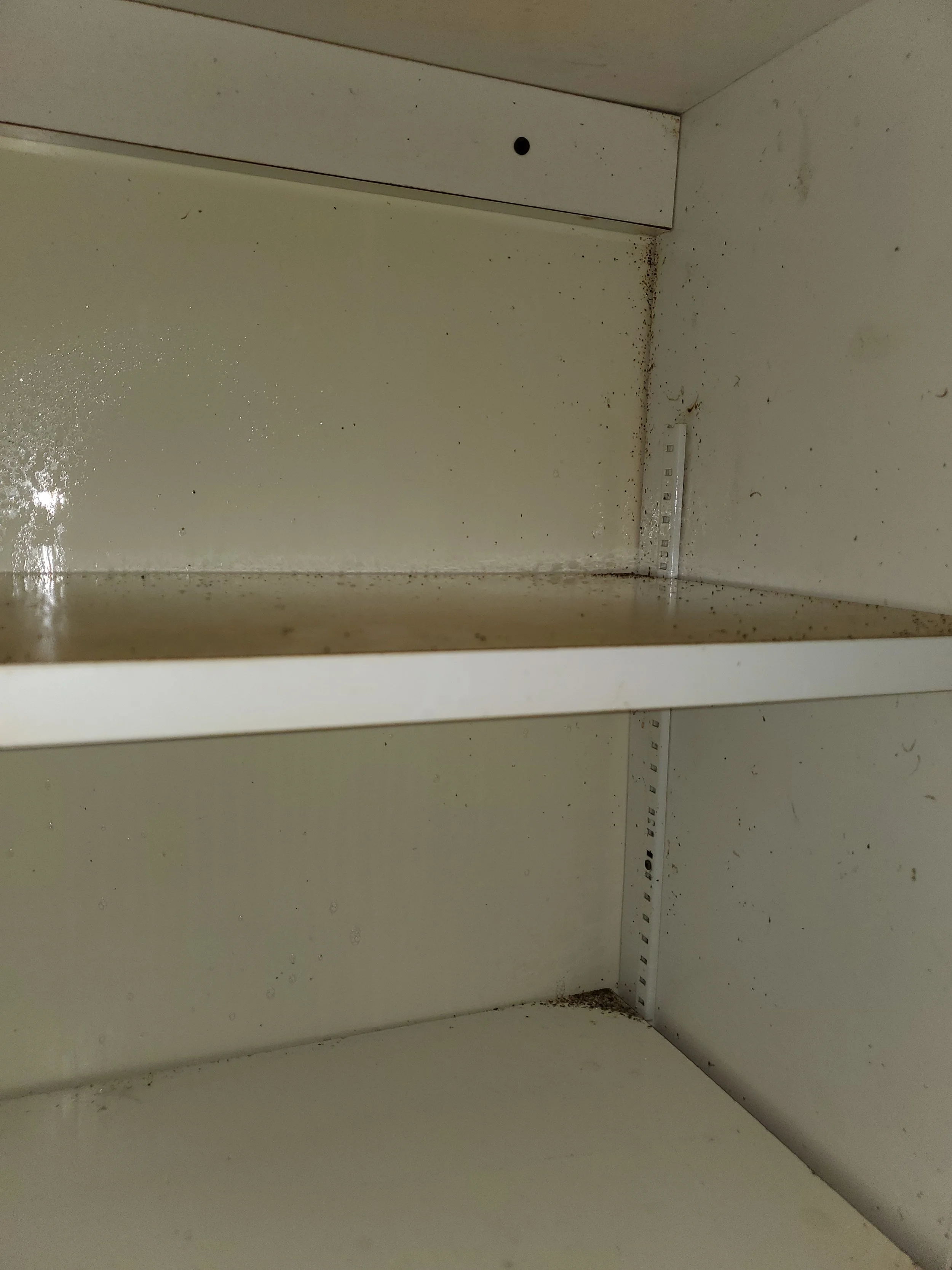 Dirty and greasy shelf - BEFORE CLEAN-UP